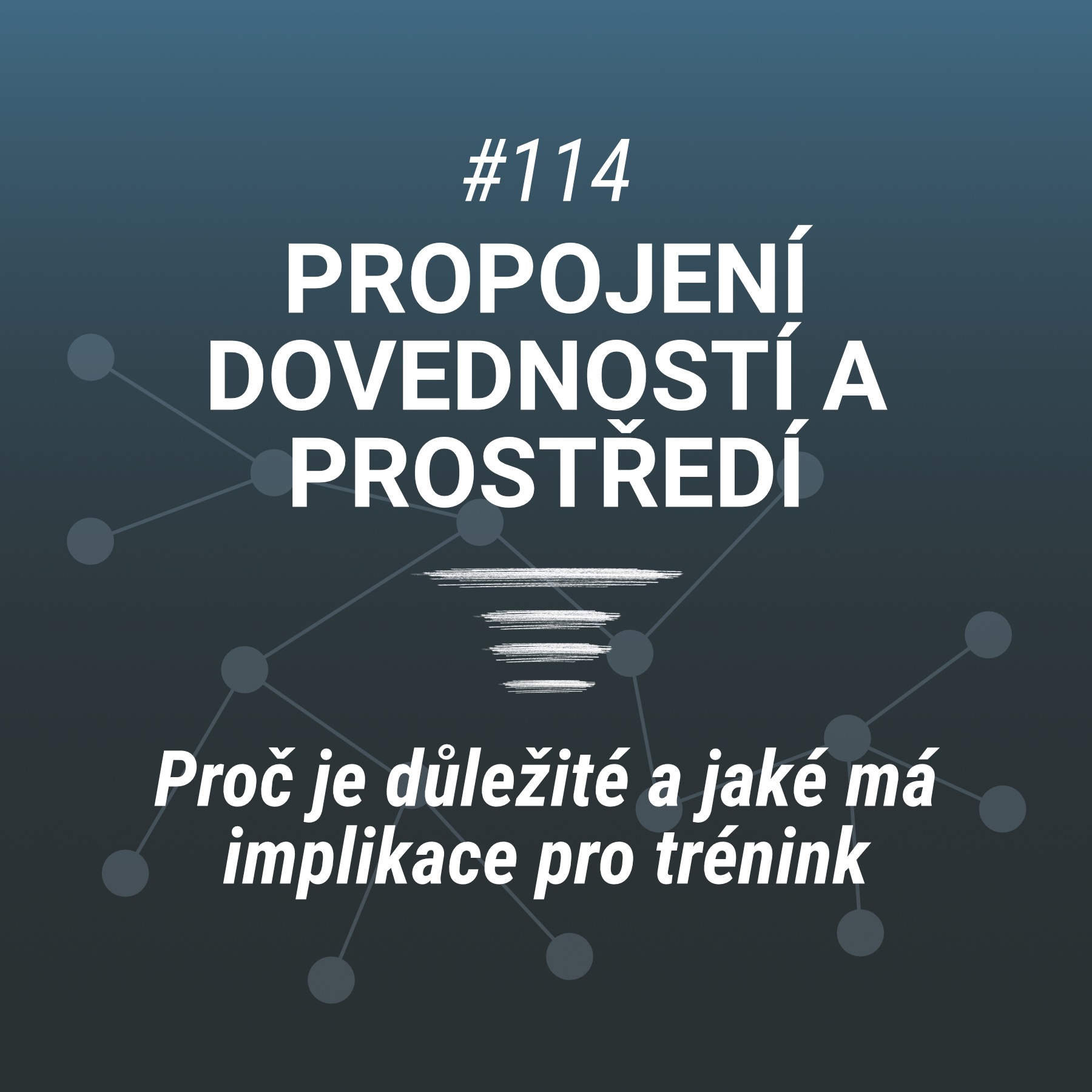 Propojení dovedností a prostředí - #114