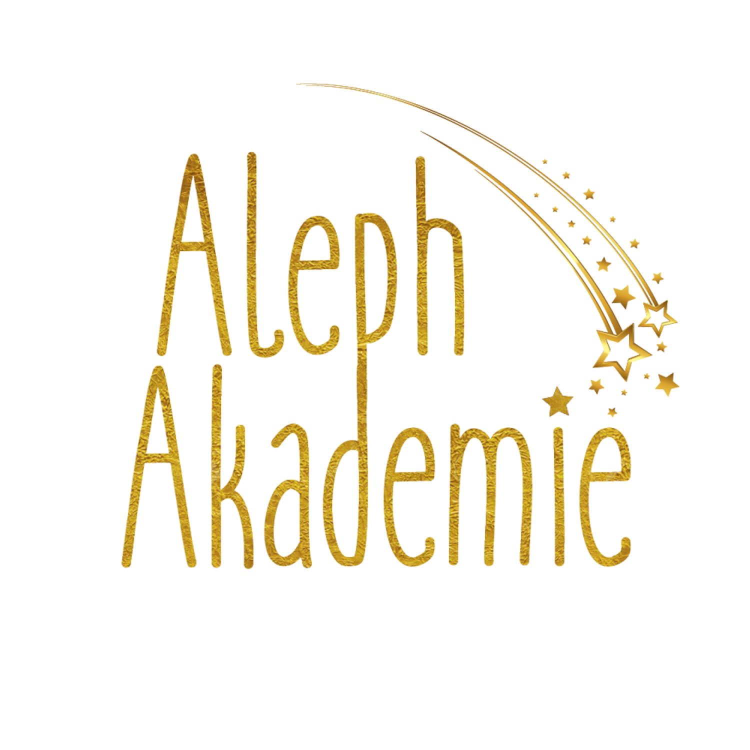 Aleph Akademie 