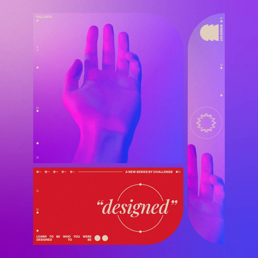 ⁣Designed For A Purpose // David Clark