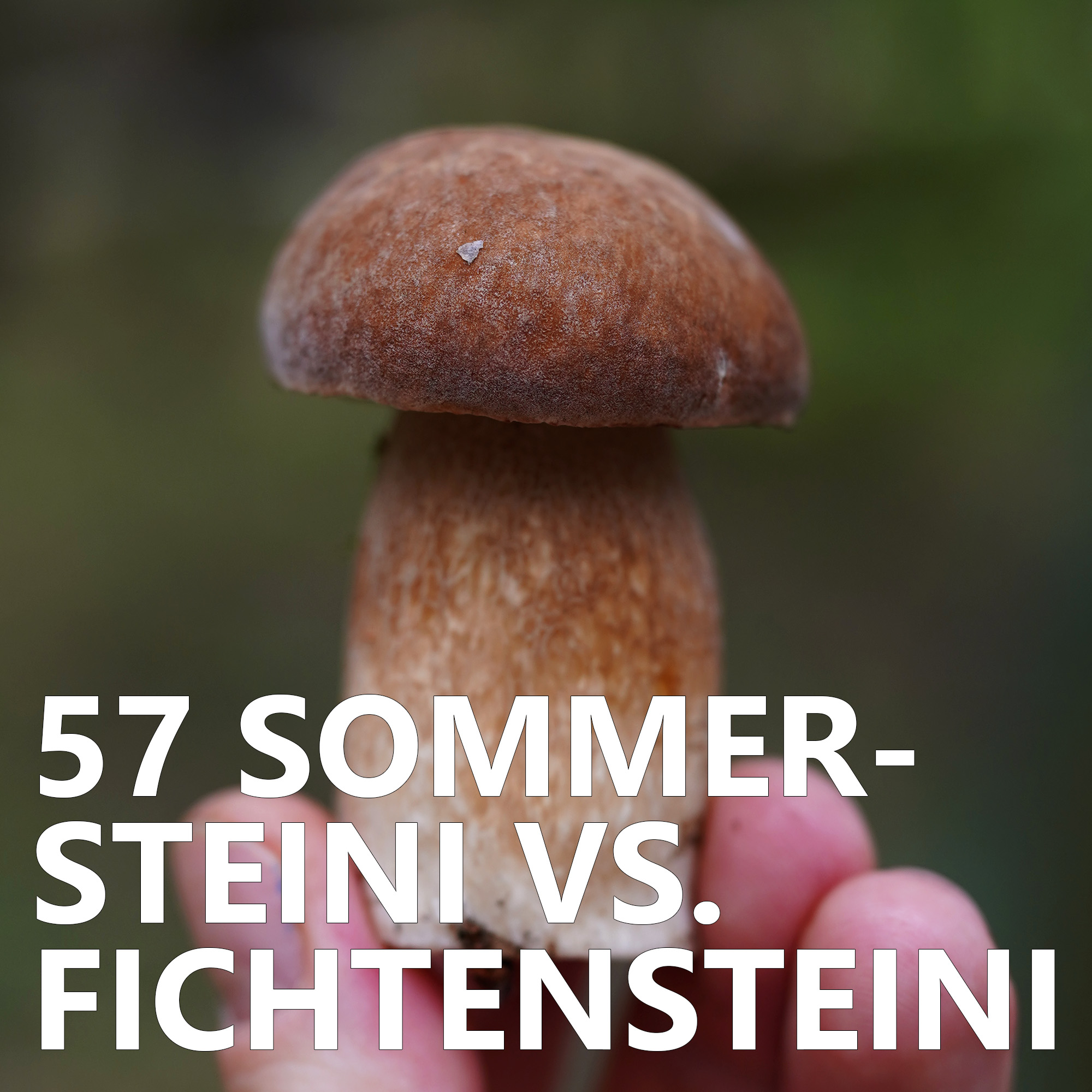 #57 Sommersteini vs. Fichtensteini