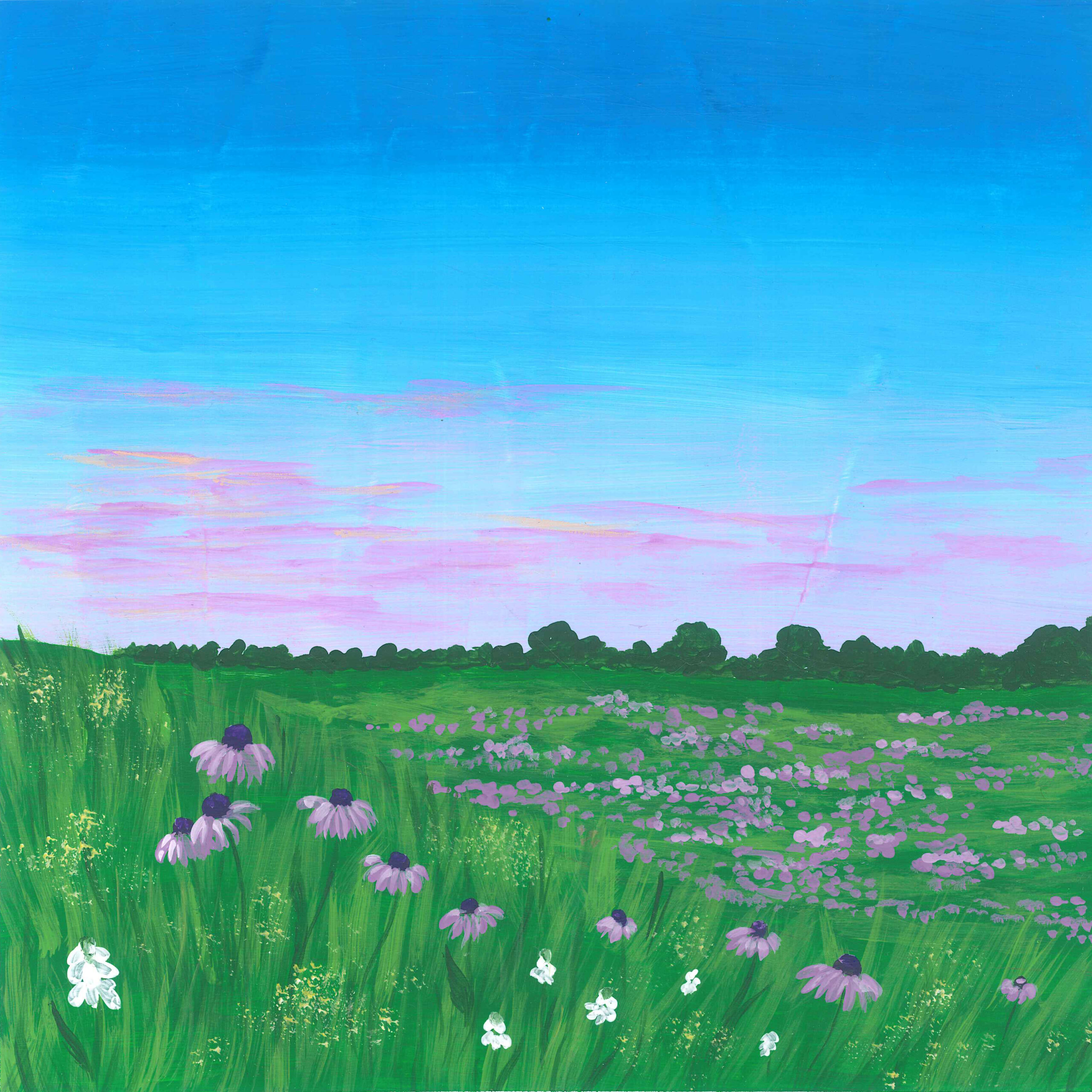 Dawn on an American Prairie