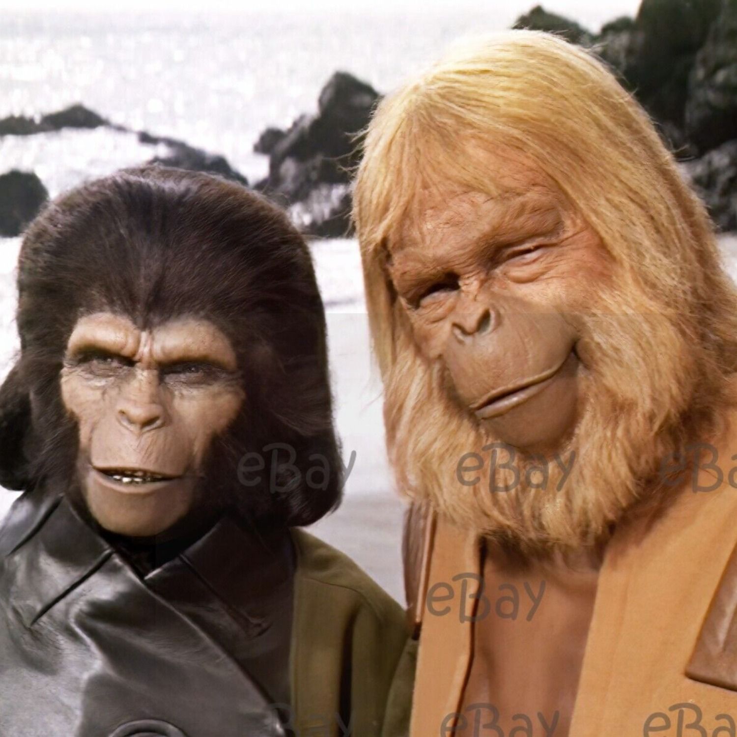 INSIDE The Planet of the Apes!