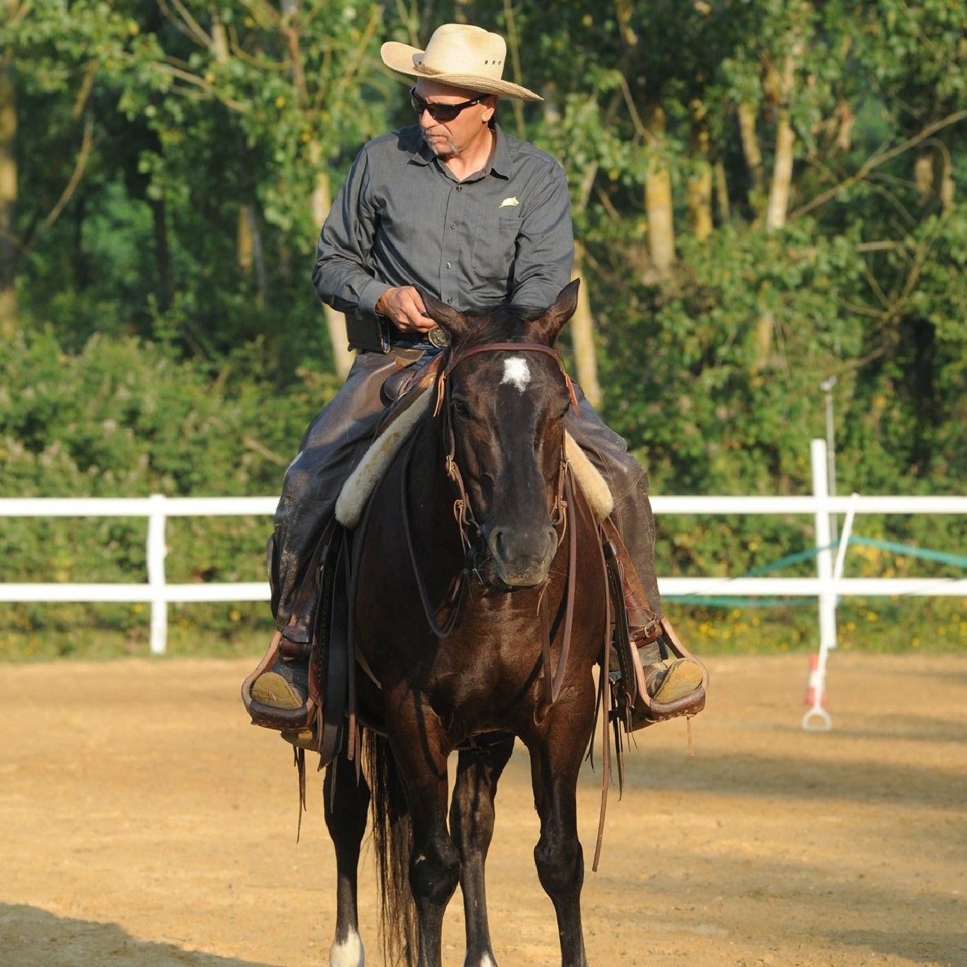 Matteoni Horsemanship 