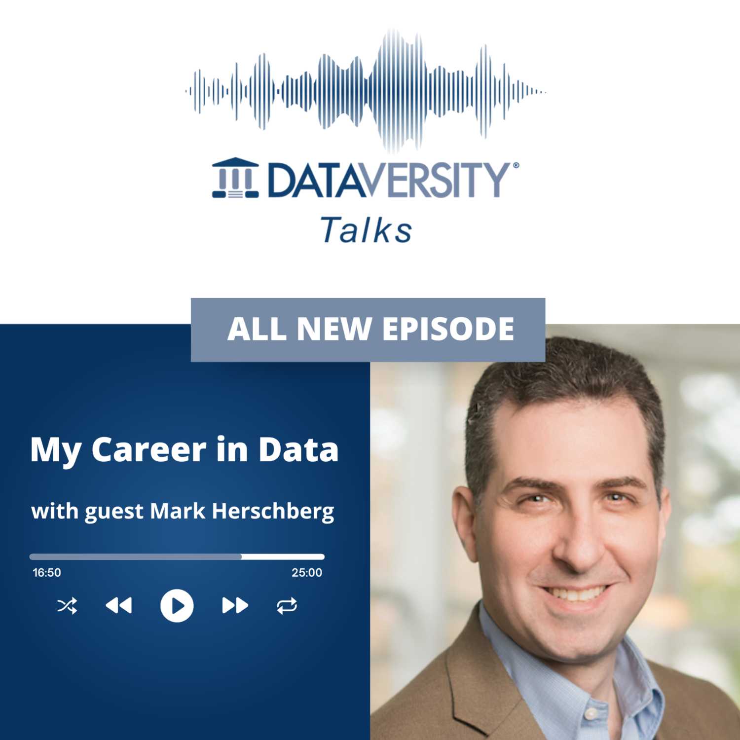 My Career in Data Episode 43: Mark Herschberg Fractional CTO, CPO for several companies and Author of The Career Toolkit