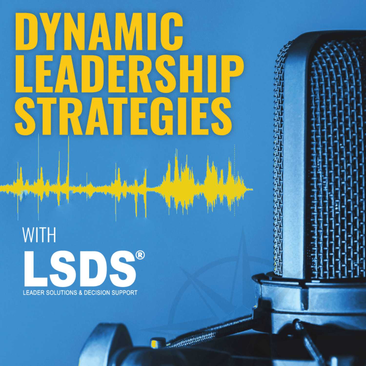 Dynamic Leadership Strategies 