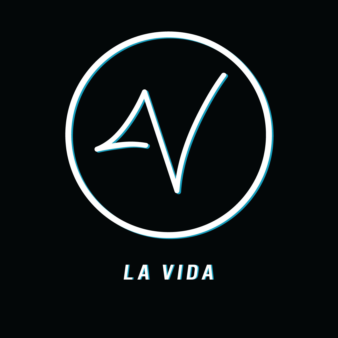 The VIDA Studios 