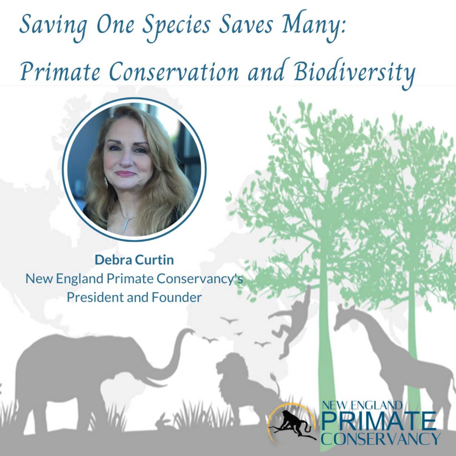 ⁣Saving One Species Saves Many! Primate Conservation and Biodiversity