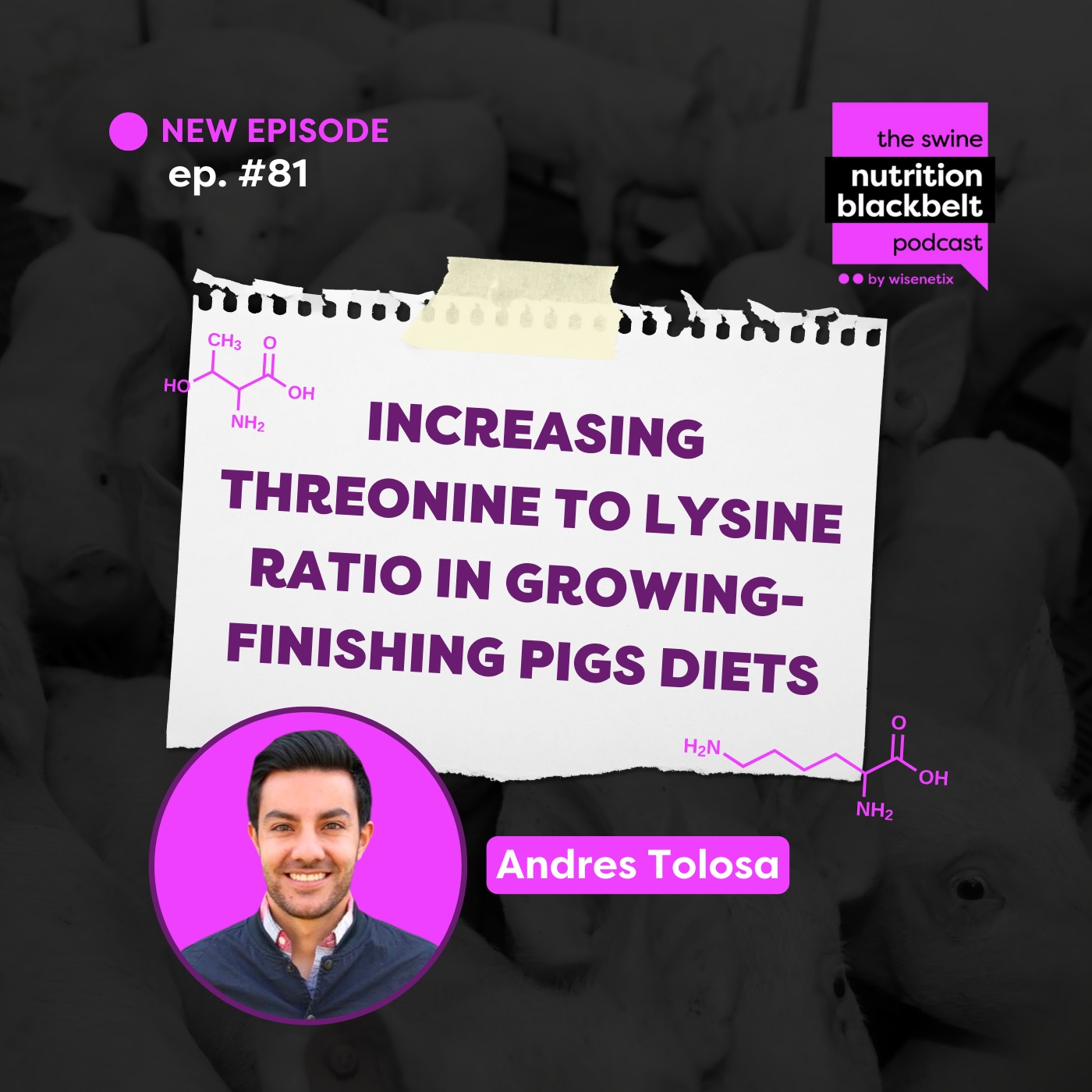 #81 - Increasing threonine to lysine ratio in growing-finishing pigs diets - Andres Tolosa