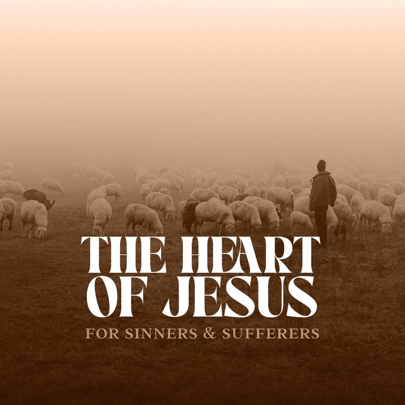 The Heart of Jesus for the Ashamed