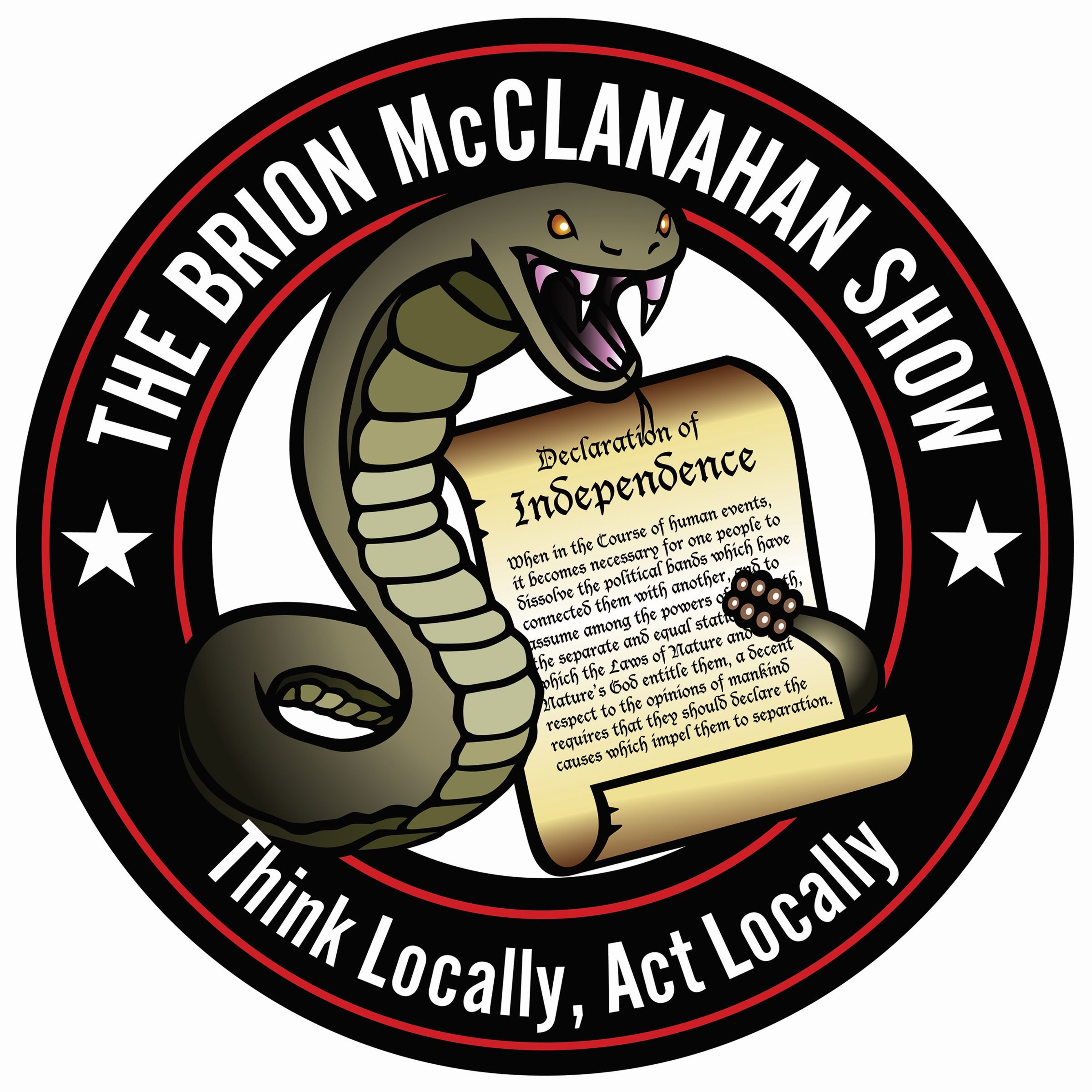 The Brion McClanahan Show 