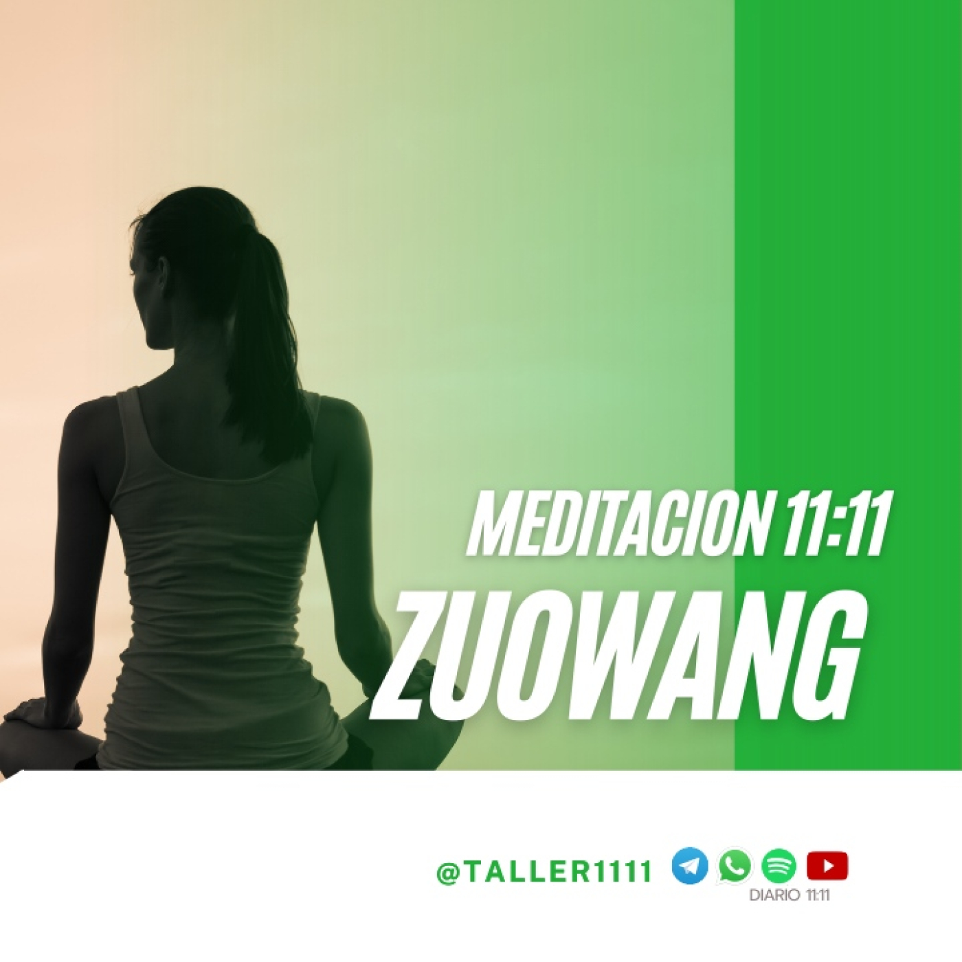 Meditacion Zuowang