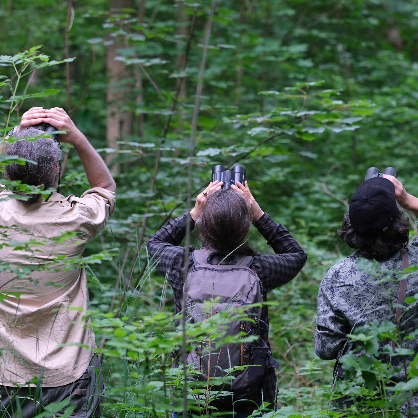 Tierfilmer Jan Haft: Warum wir neben Wald auch Weide brauchen