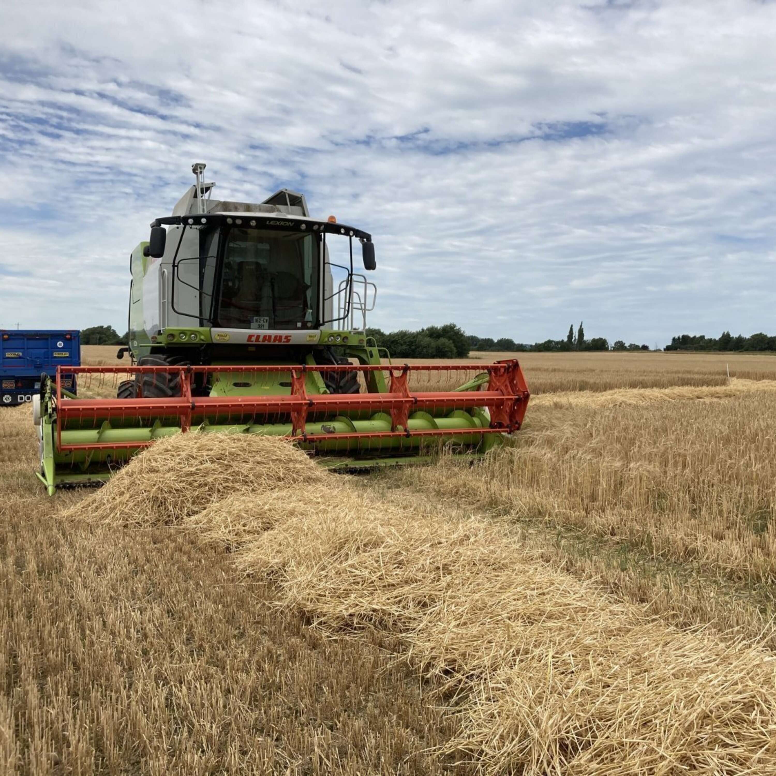 Harvest update and stubble cultivation