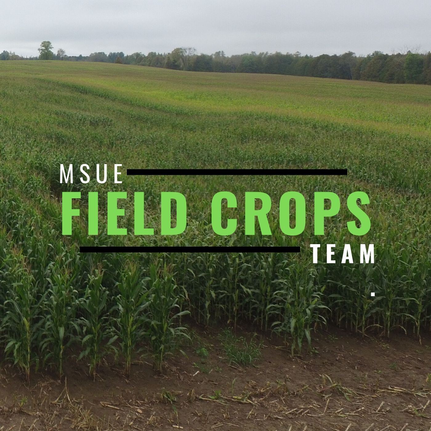 Michigan Field Crops 