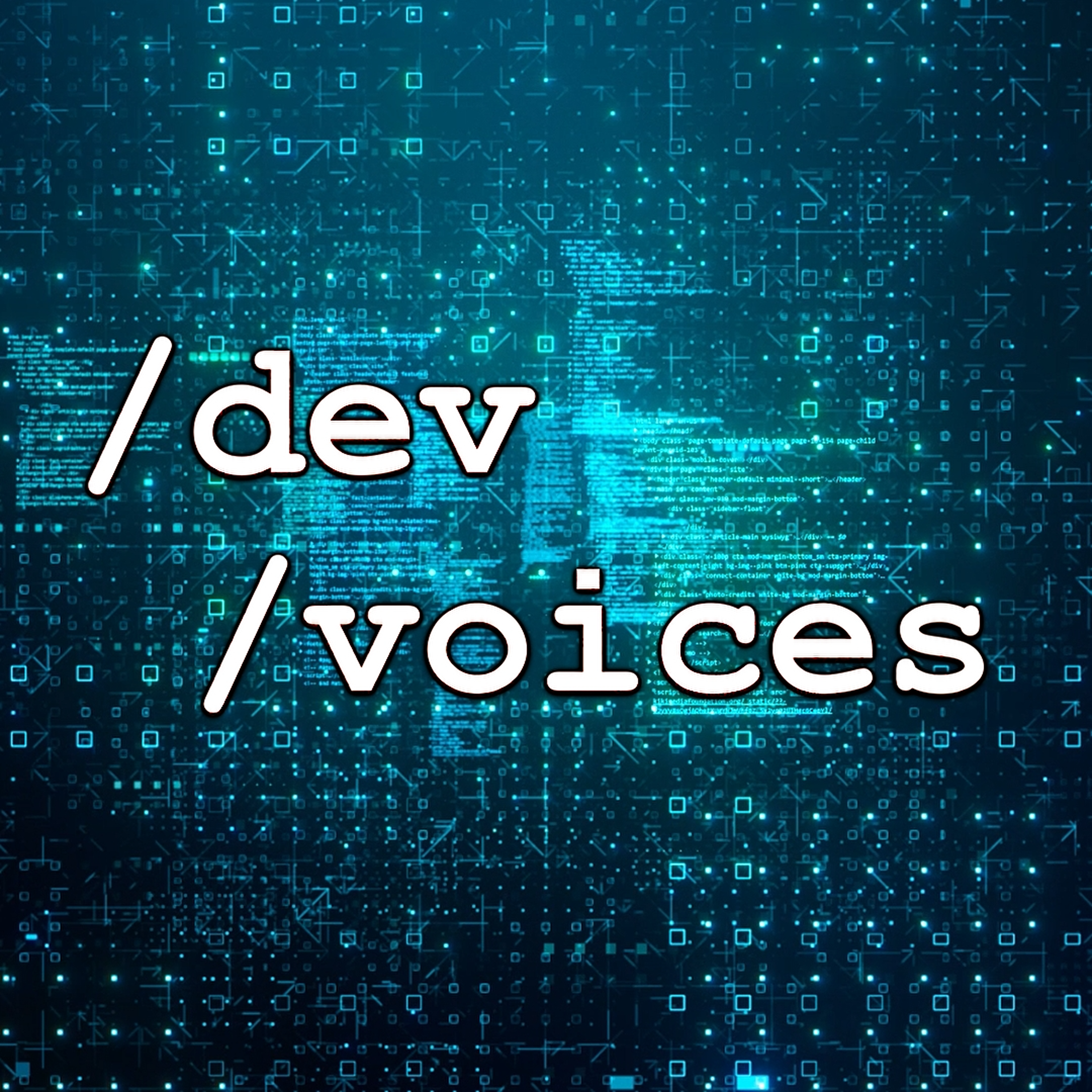 Developer Voices 