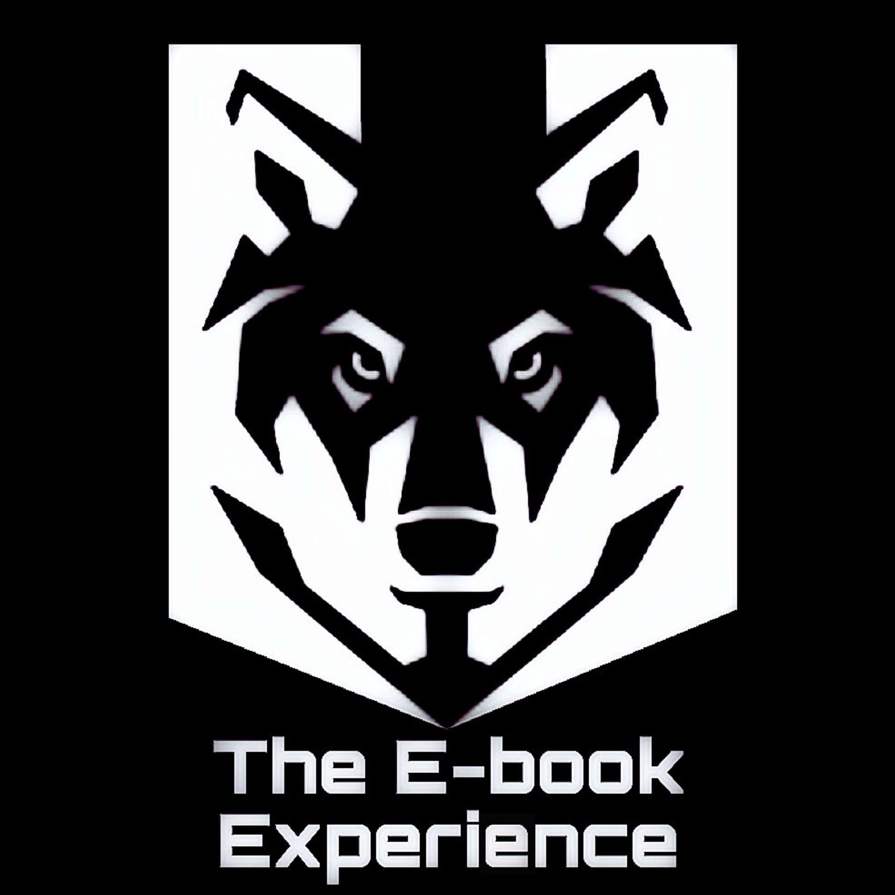 The E-book Experiance 