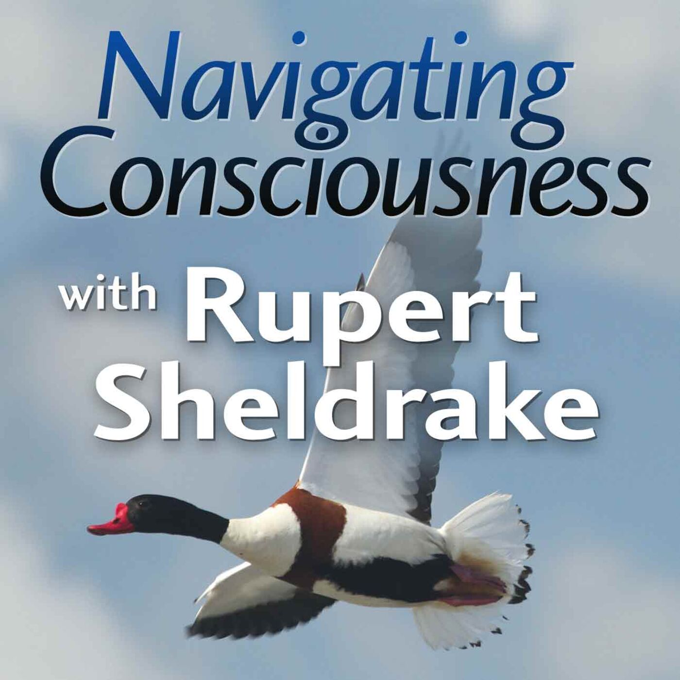 Navigating Consciousness with Rupert Sheldrake 