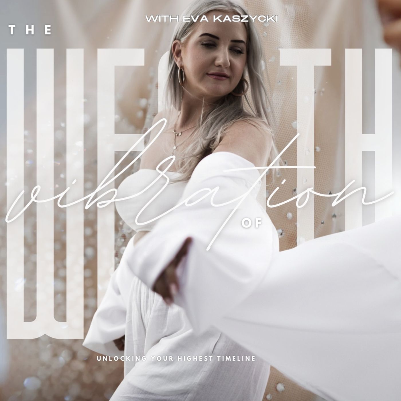 ⁣042 - How you shadow is blocking your money overflow | Money Manifestation