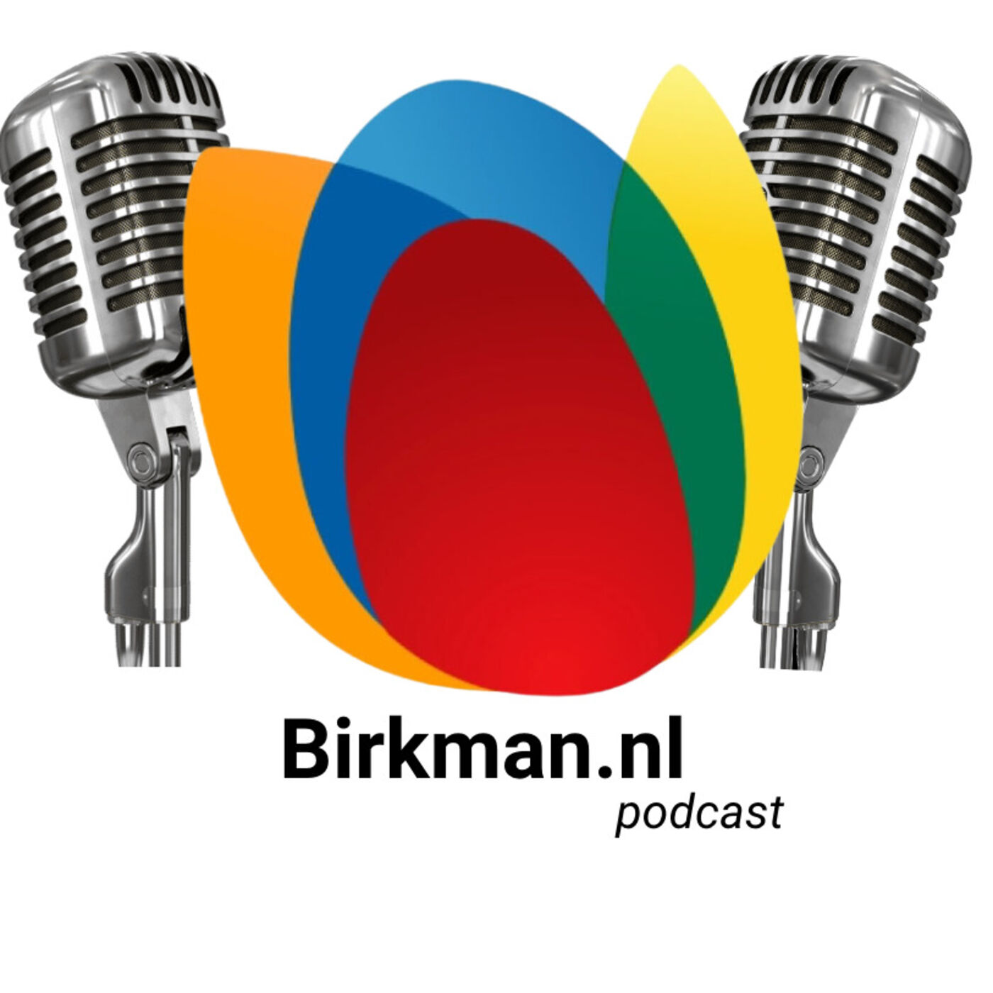 Birkman.nl Podcast 