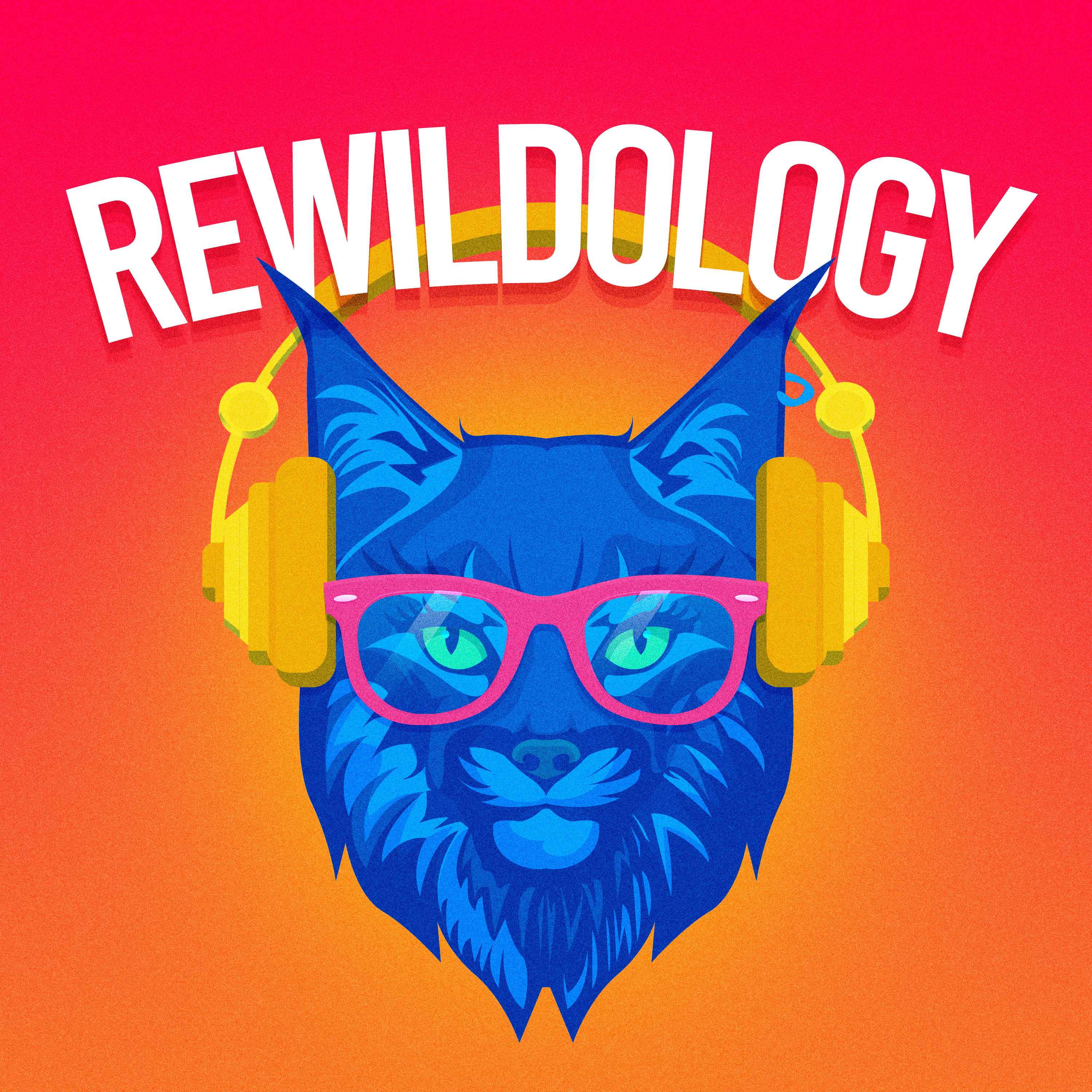 #145 |  Revolutionizing Wildlife Tracking Technology with Debbie Saunders, PhD