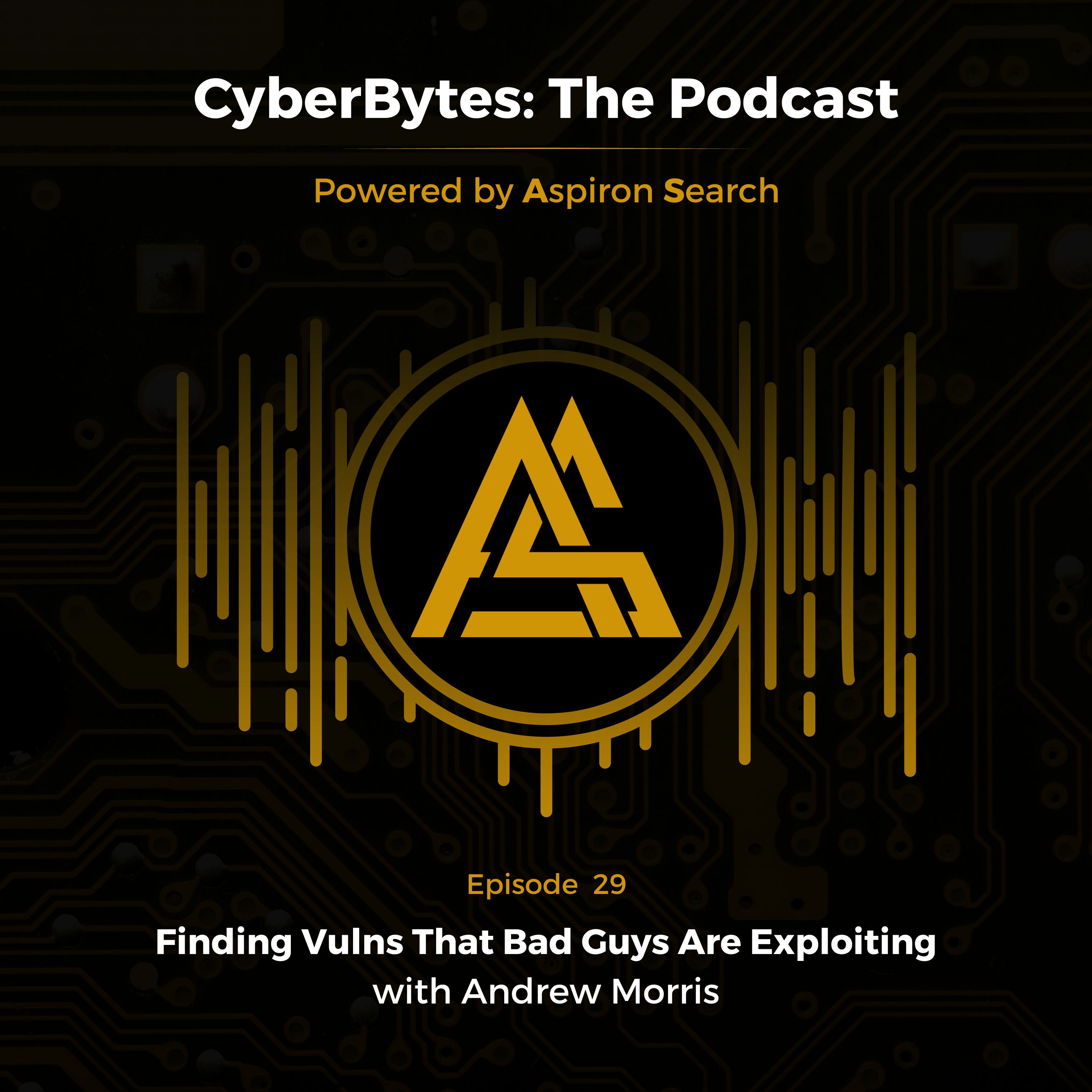 Finding Vulns That Bad Guys Are Exploiting with Andrew Morris