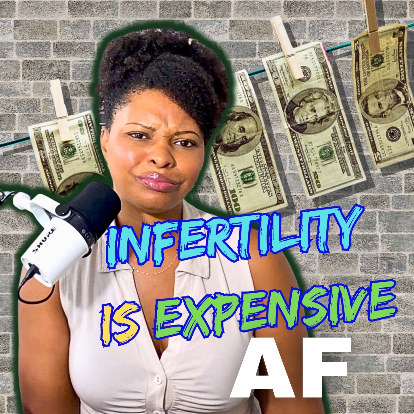 Infertility Feels Like A Brick Wall & It's Expensive AF!