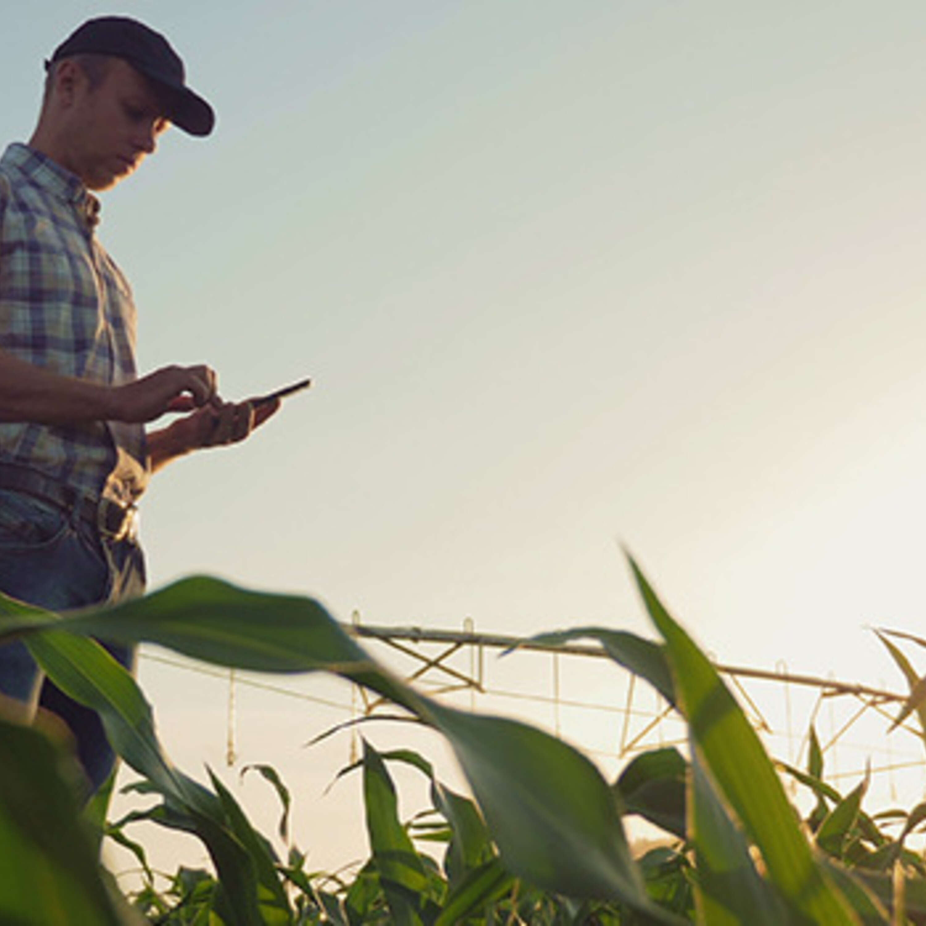 6 Cash Flow Management Strategies for Farmers