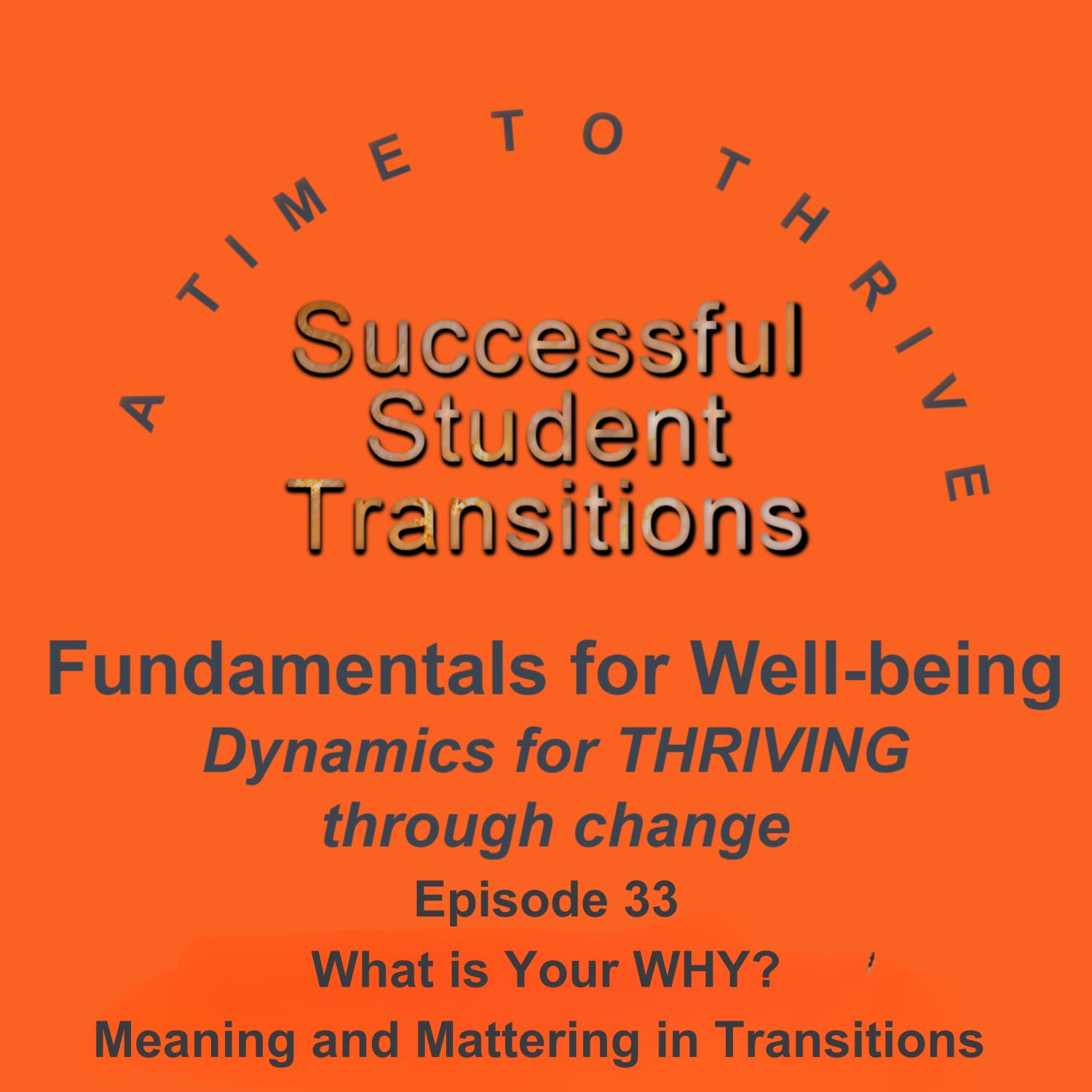 Fundamentals for Well-being - What is your WHY? Meaning and Mattering. 