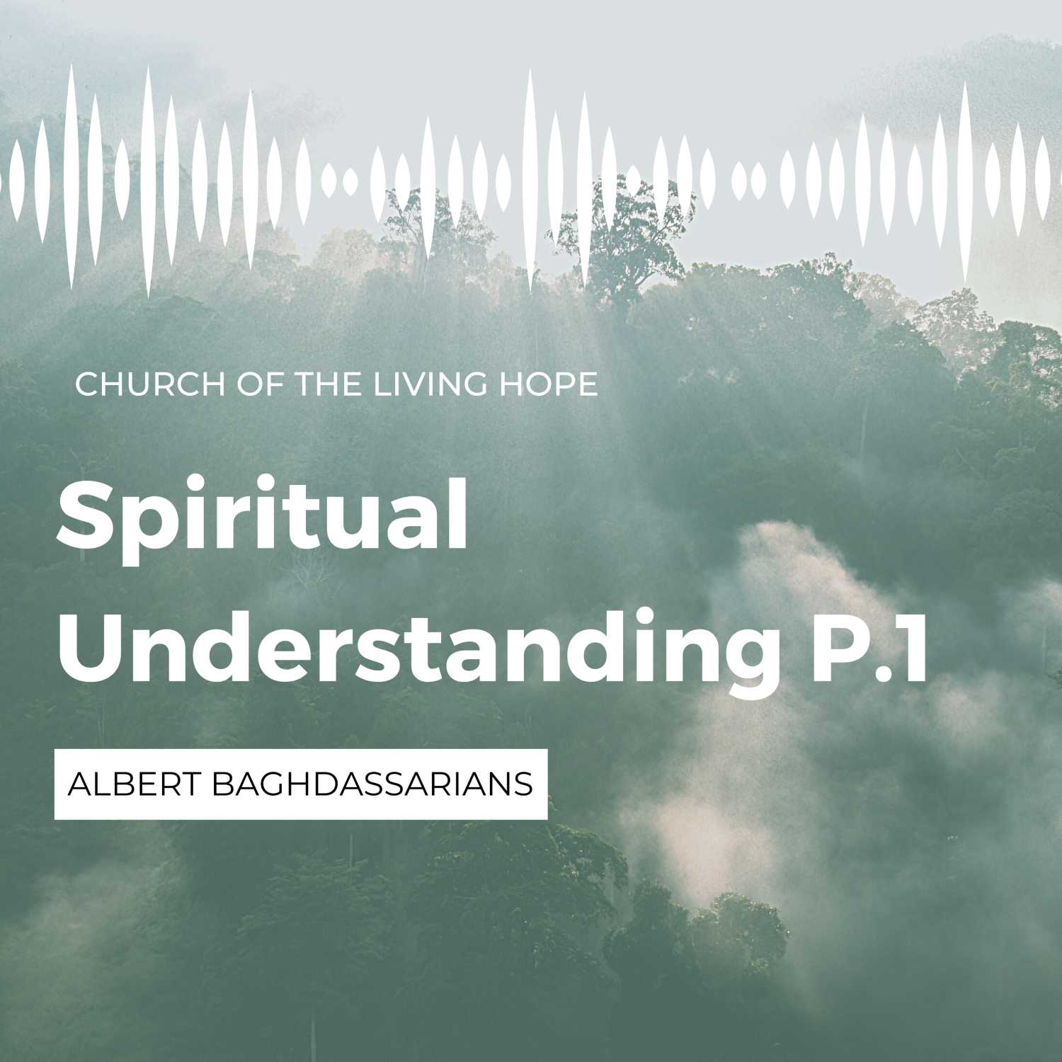 Spiritual Understanding - P.1 - Albert Baghdassarians