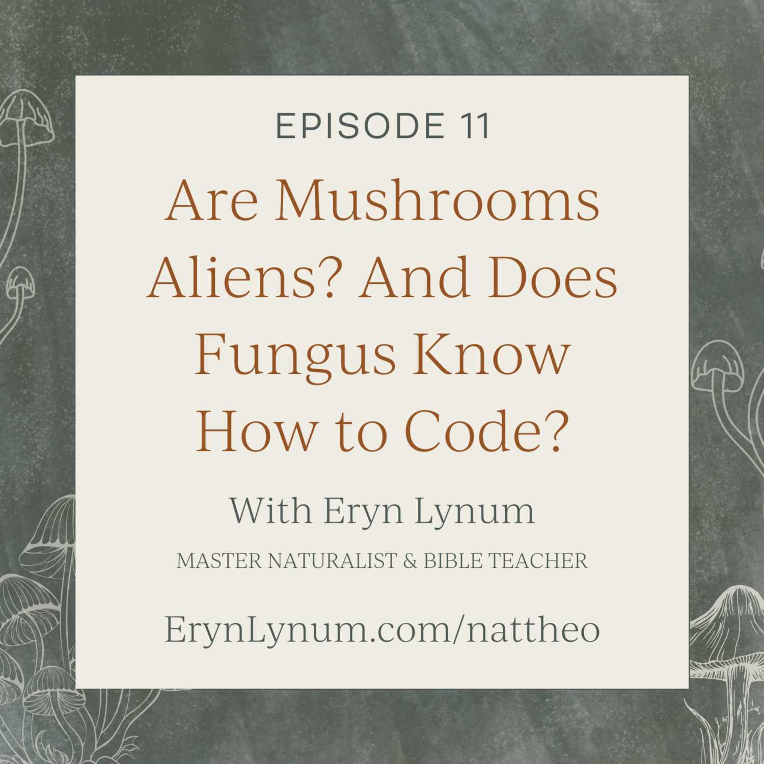 Are Mushrooms Aliens? And Does Fungus Know How to Code?