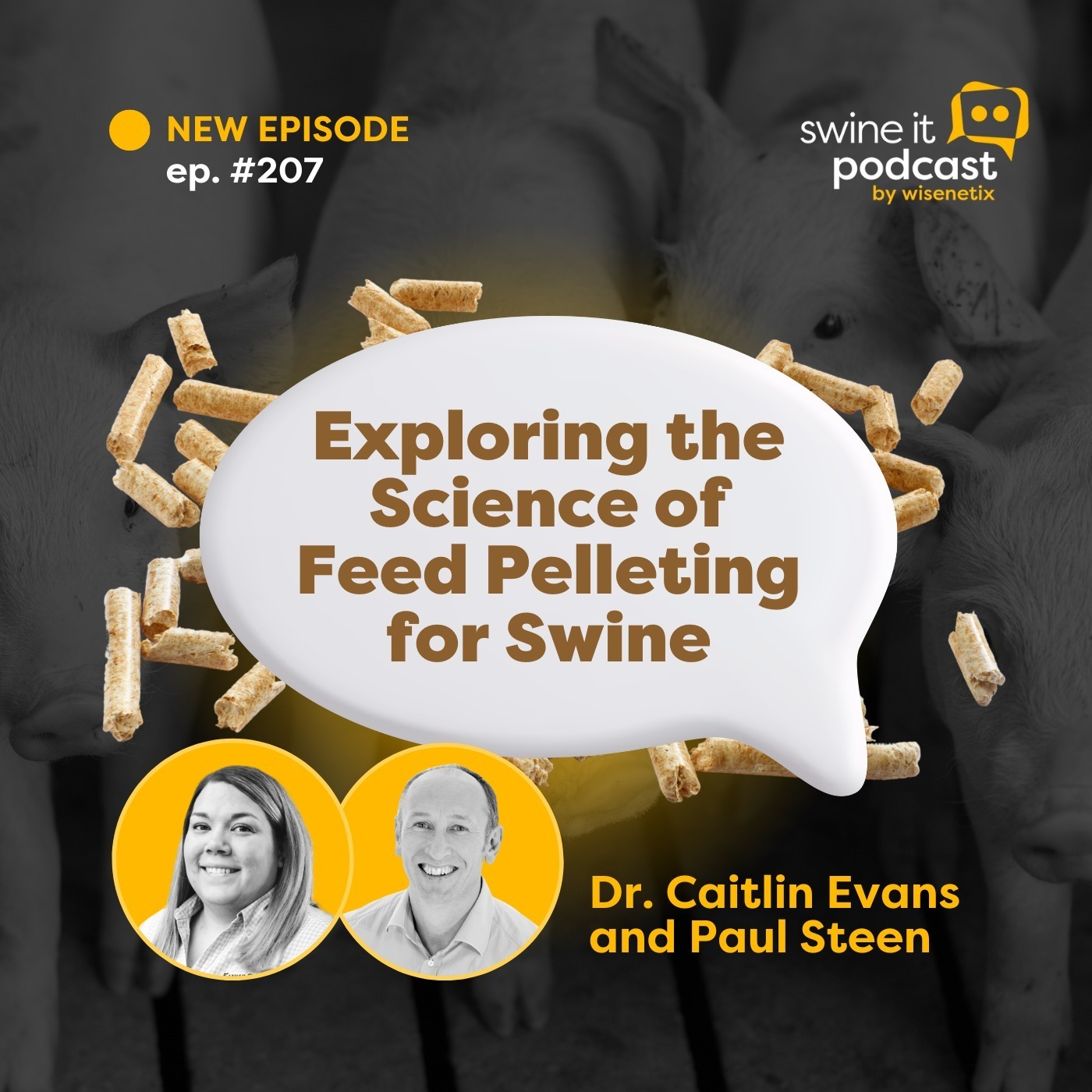 #208 - Exploring the Science of Feed Pelleting for Swine - Dr. Caitlin Evans and Paul Steen