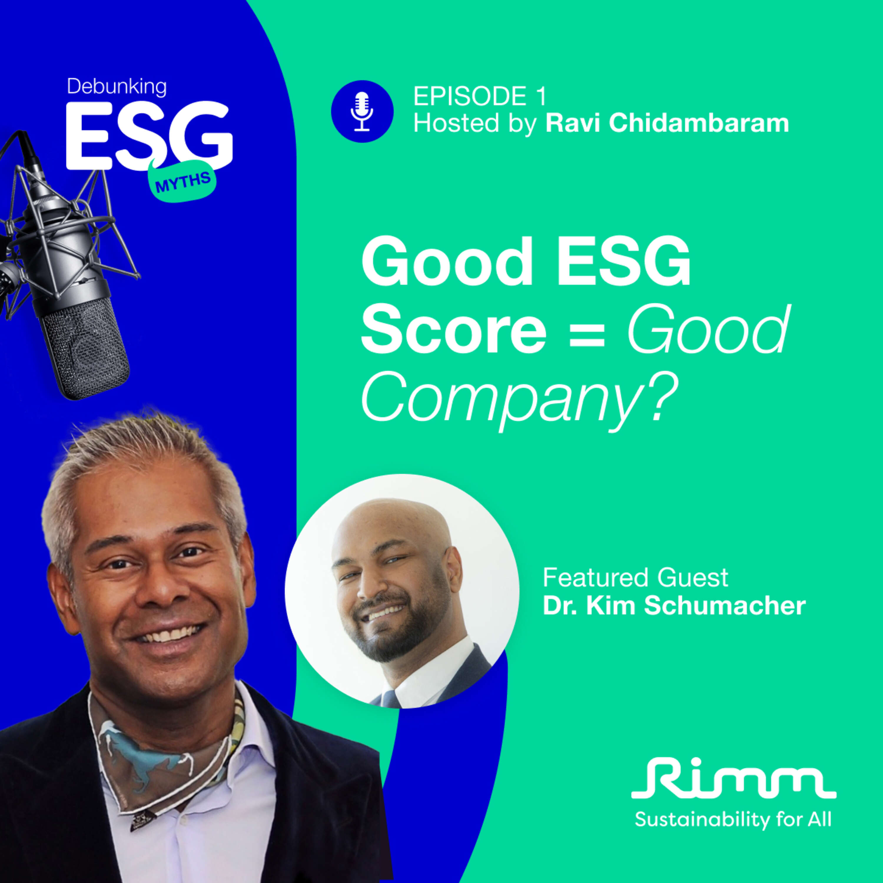 Addressing Greenwashing: Does a good ESG score equate to being a good company?