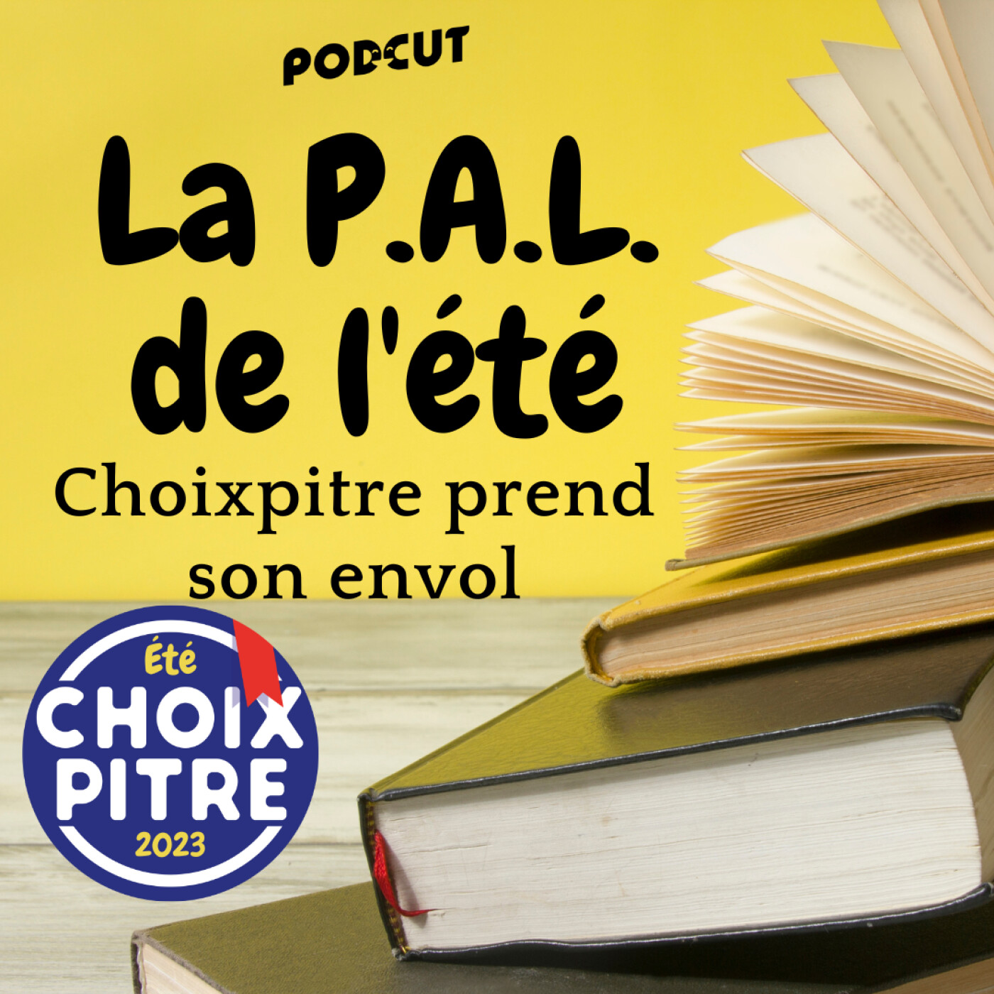 La P.A.L. de l'été - Ceci n'est pas une P.A.L, c'est une annonce