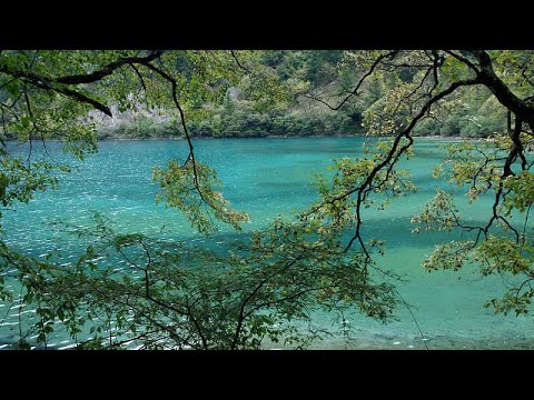 Live: Unwind with a serene view of Shuzheng Valley's lakes and waterfalls – Ep.10