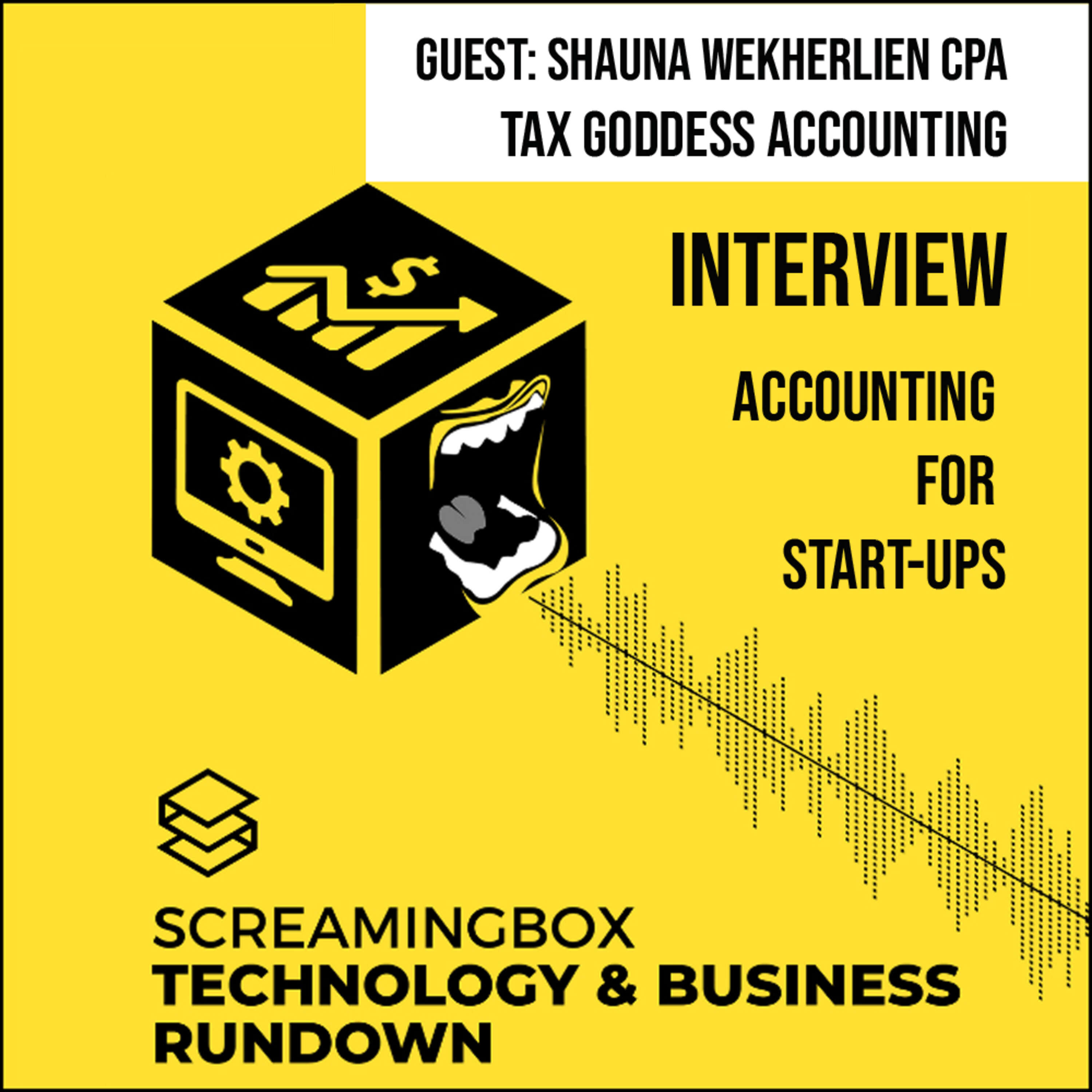 Accounting and tax advice for START-UPS & SAAS worth $Millions!! - ScreamingBox Interview Podcast #3