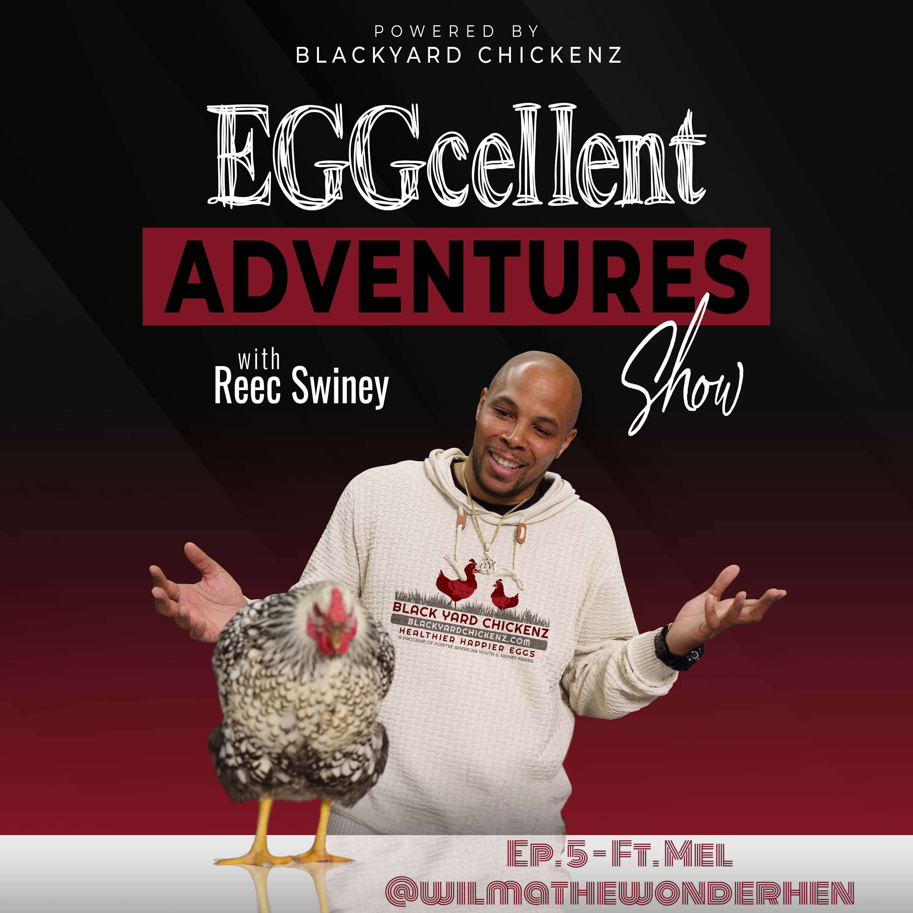 EGGCELLENT ADVENTURES EP.5 MEL - @WILMATHEWONDERHEN