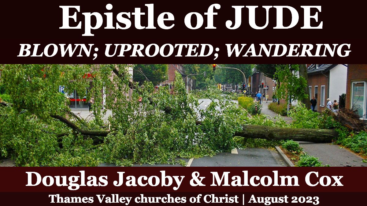 Jude -- 'Blown, uprooted, wandering' | Malcolm Cox & Douglas Jacoby