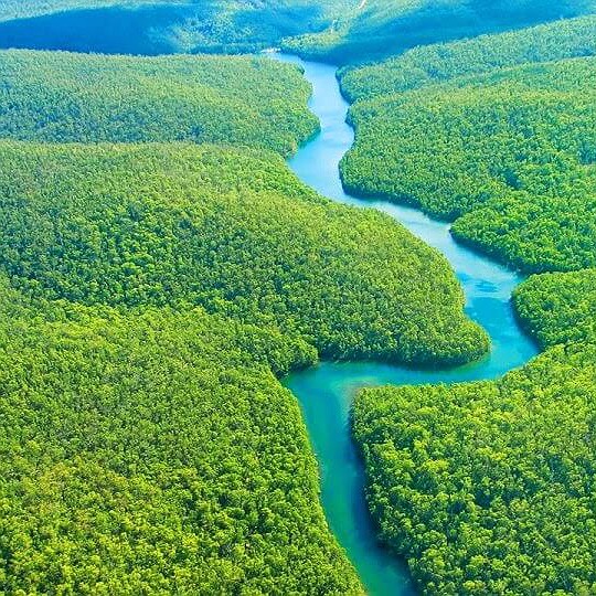 Países assinam Declaração de Belém e definem agenda para defesa da Amazônia