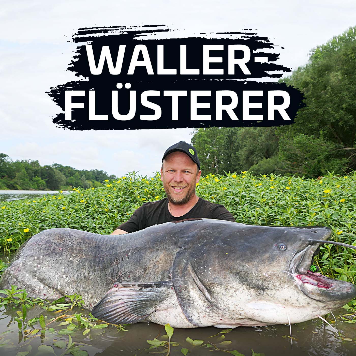 Waller-Flüsterer 