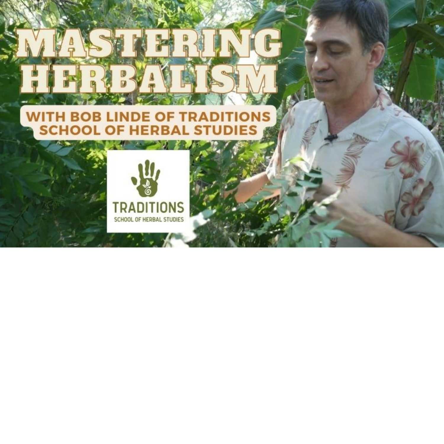 Mastering Herbalism With Bob Linde of the Traditions School of Herbal Studies 