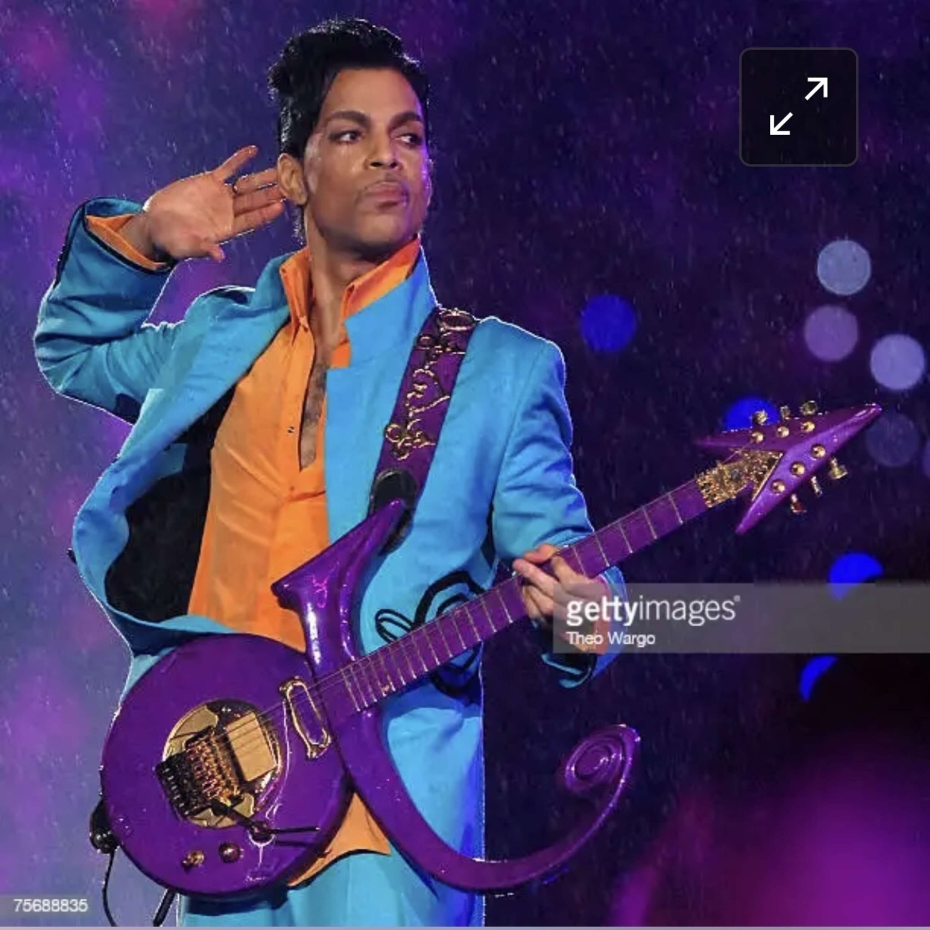 Prince and The Purple Realm