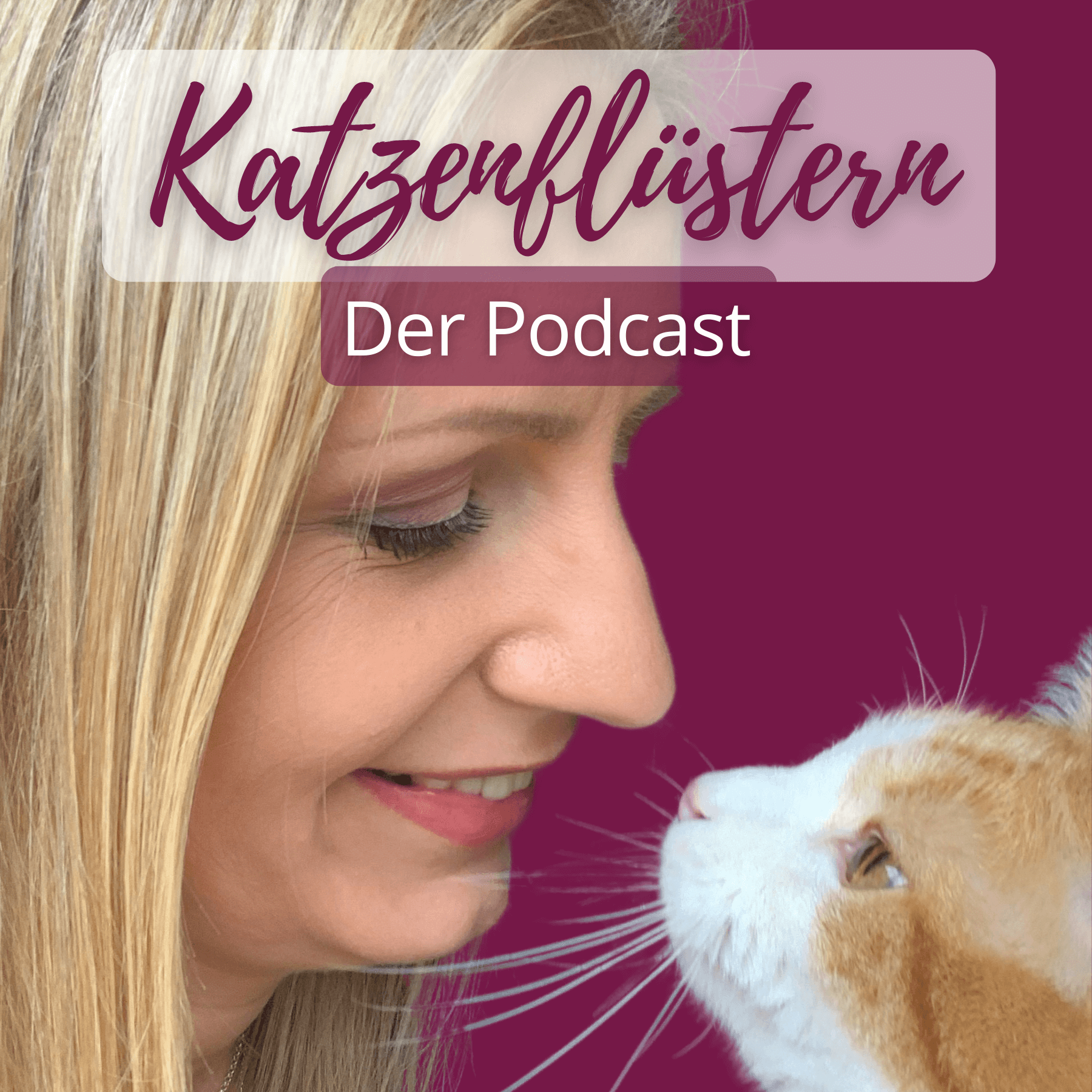 Katzenflüstern 