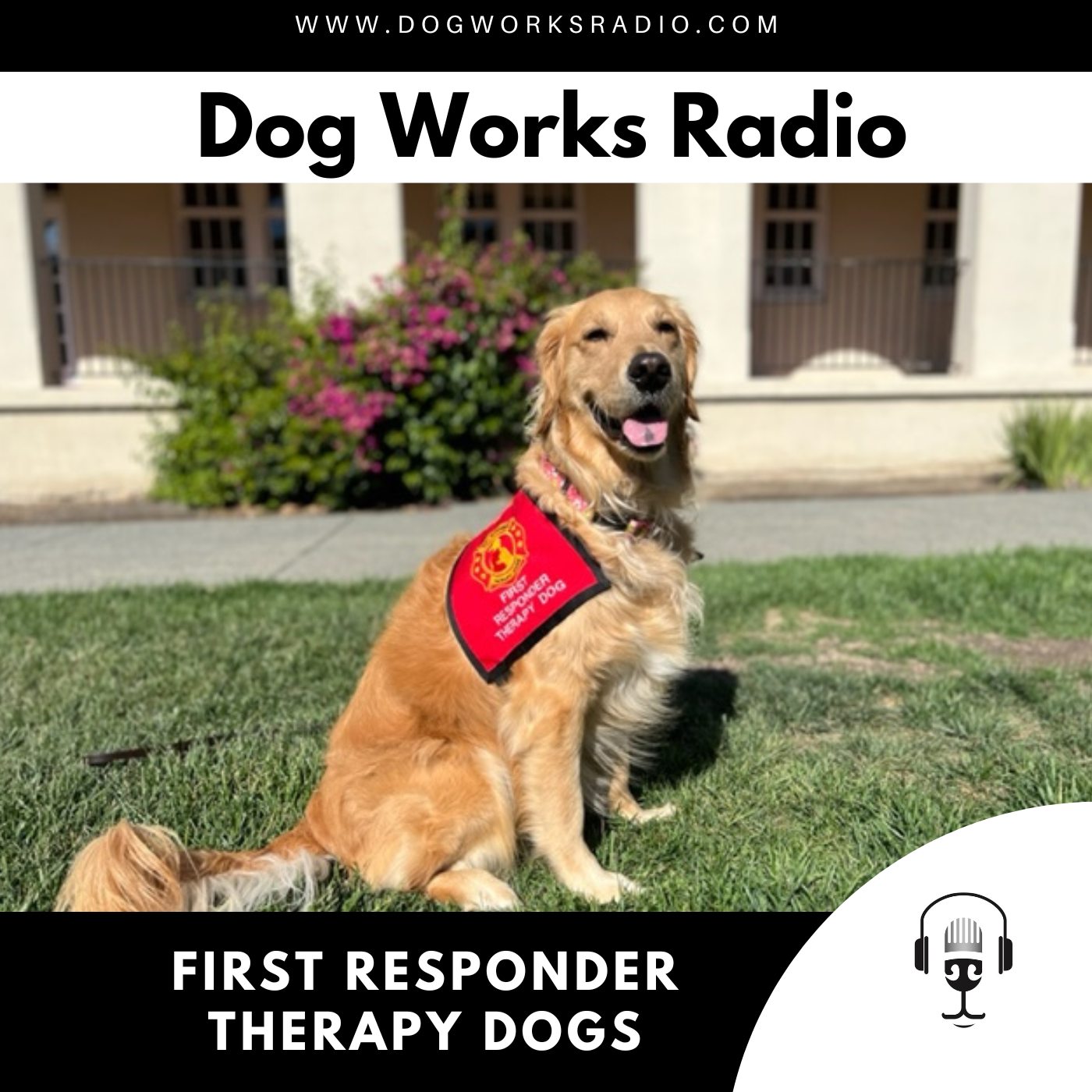 ⁣Heidi Carman and Tracy Ryan | First Responder Therapy Dogs