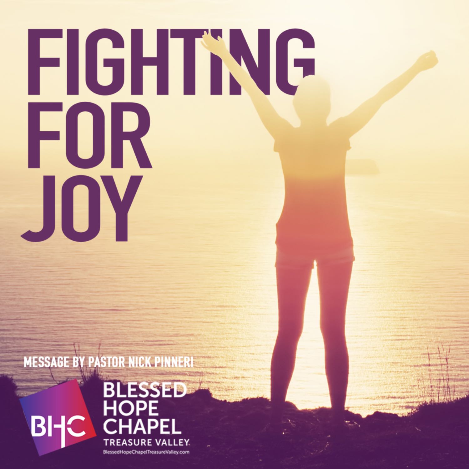 Fighting for Joy