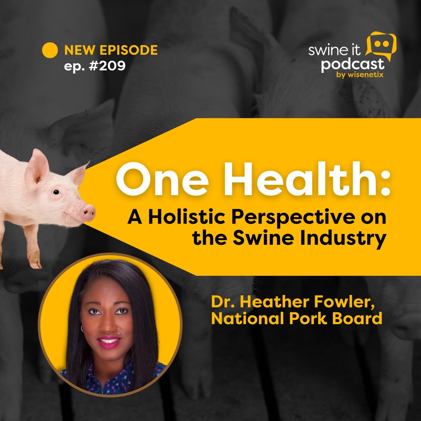 #209 - One Health: A Holistic Perspective on the Swine Industry - Dr. Heather Fowler