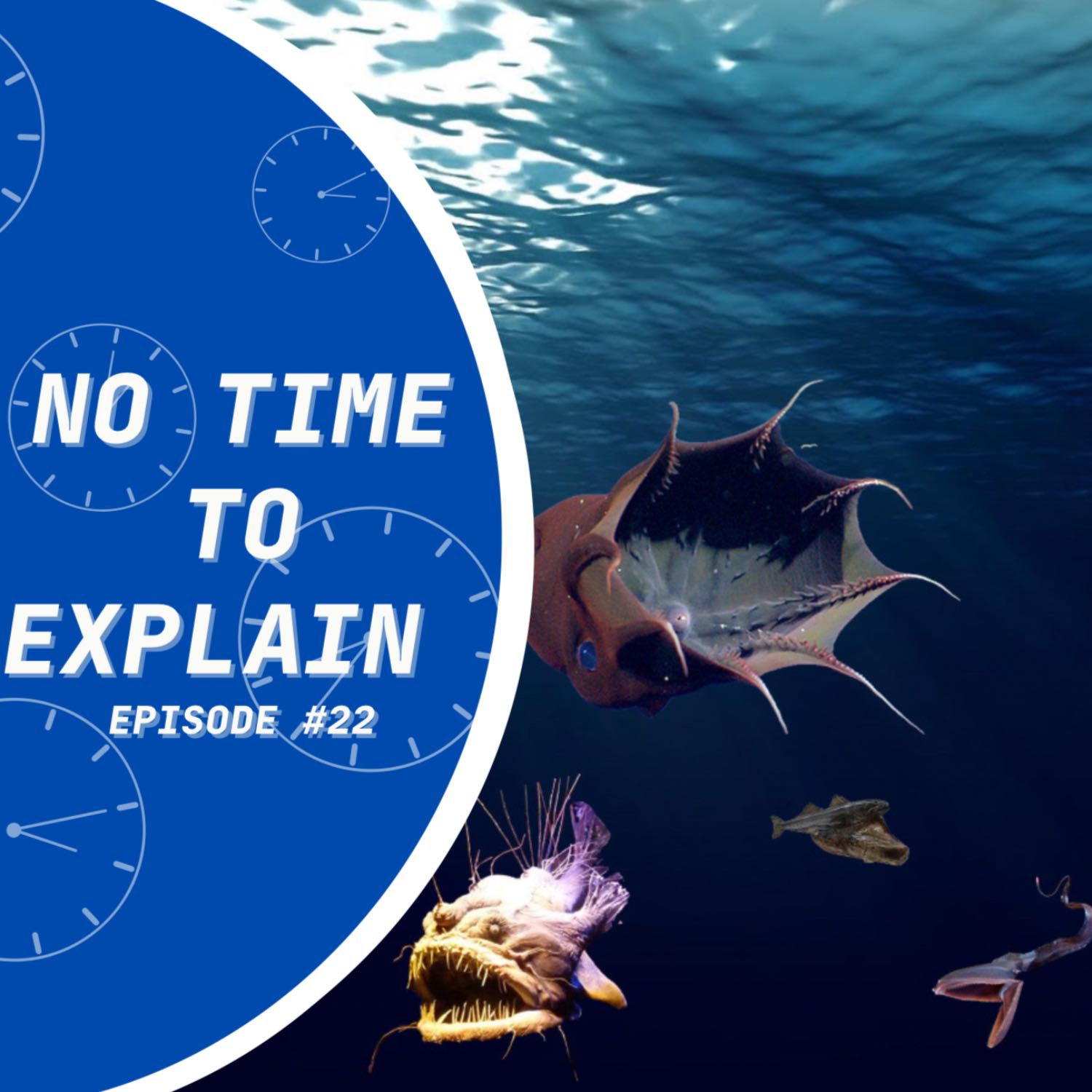 THALASSOPHOBIA - No Time To Explain Podcast EP.22