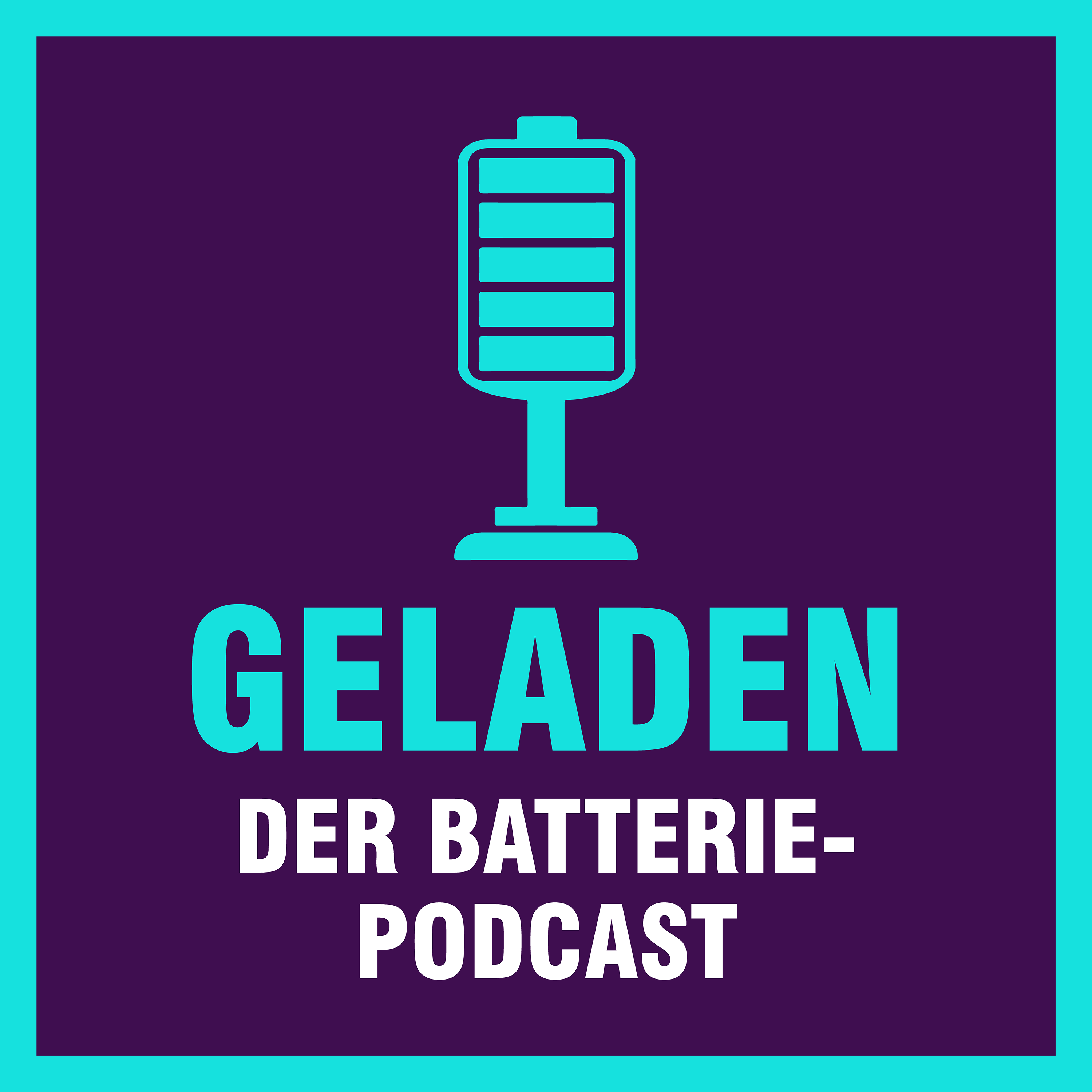 Energiedichte-Rekord bei Lithium-Ionen-Batterien - Prof. Maximilian Fichtner