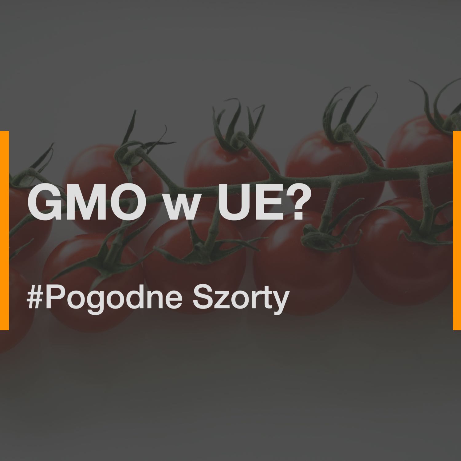 GMO w UE?