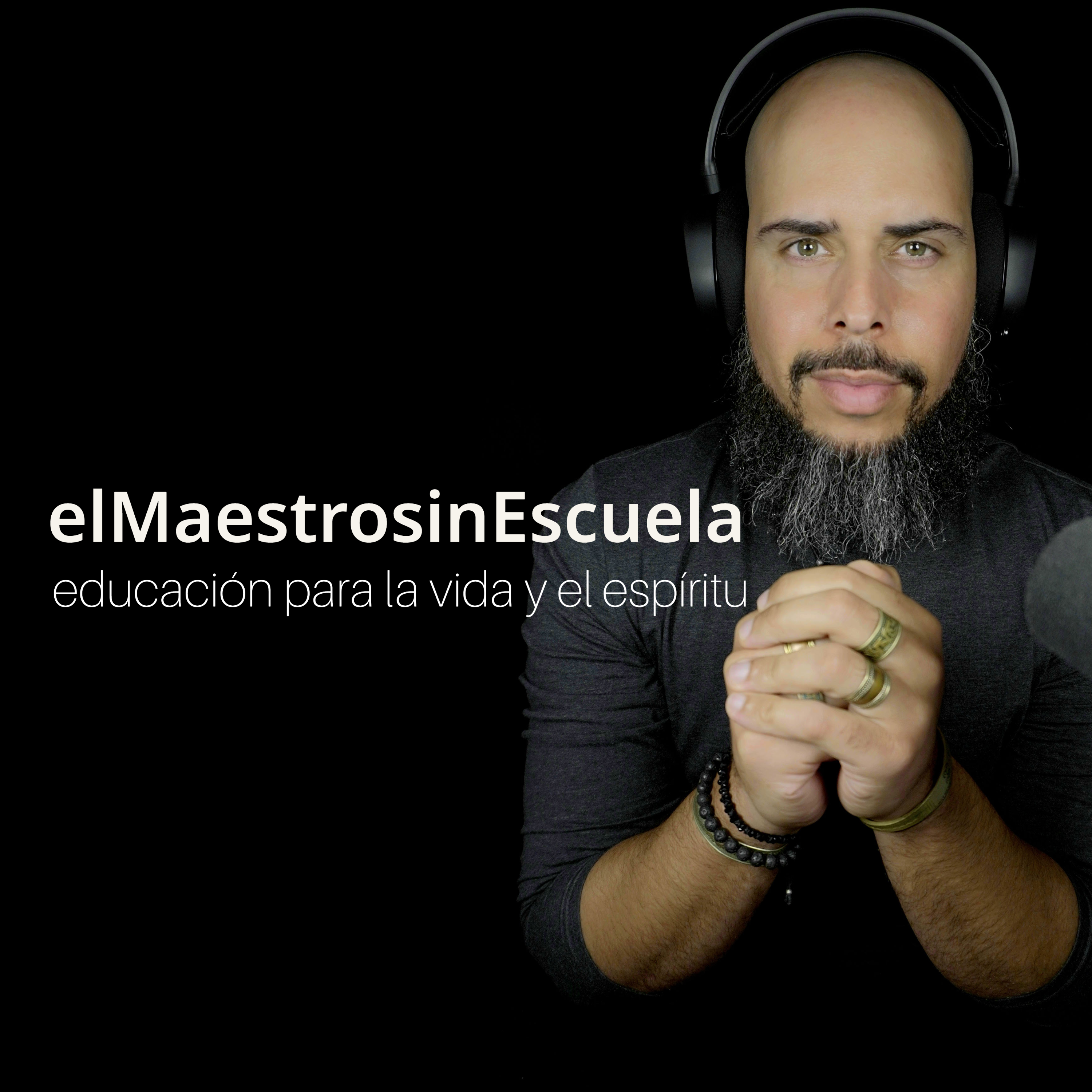 elMaestrosinEscuela 
