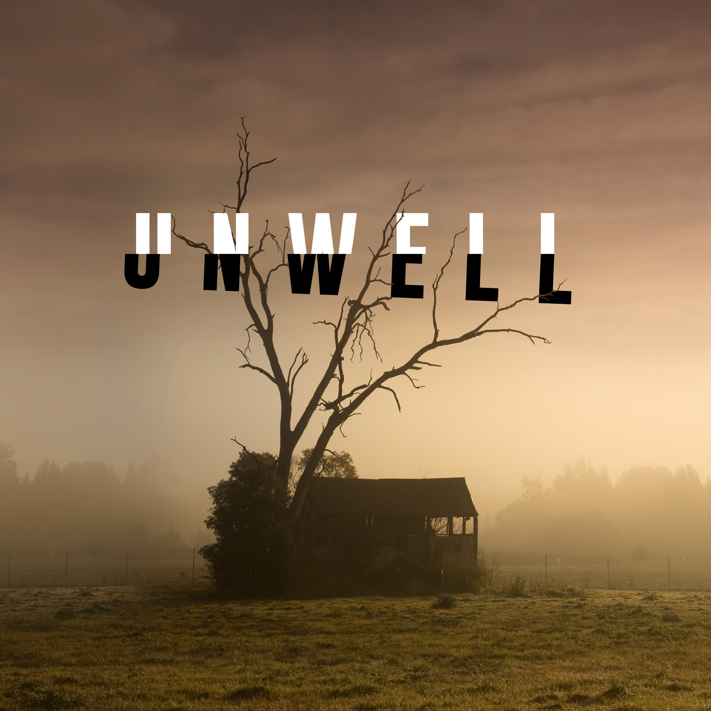 Unwell, a Midwestern Gothic Mystery 